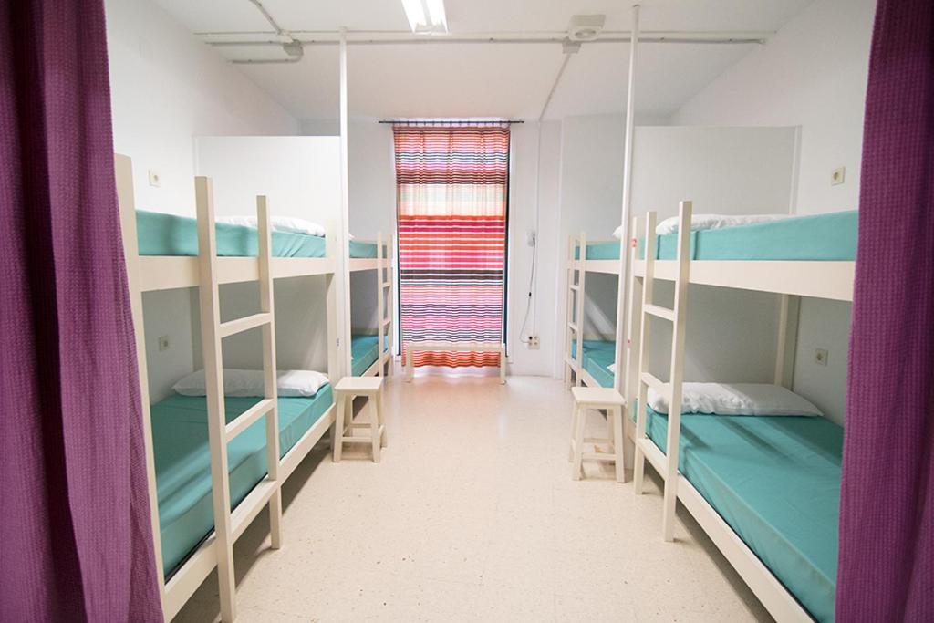 Bunk Bed in Mixed Dormitory Room