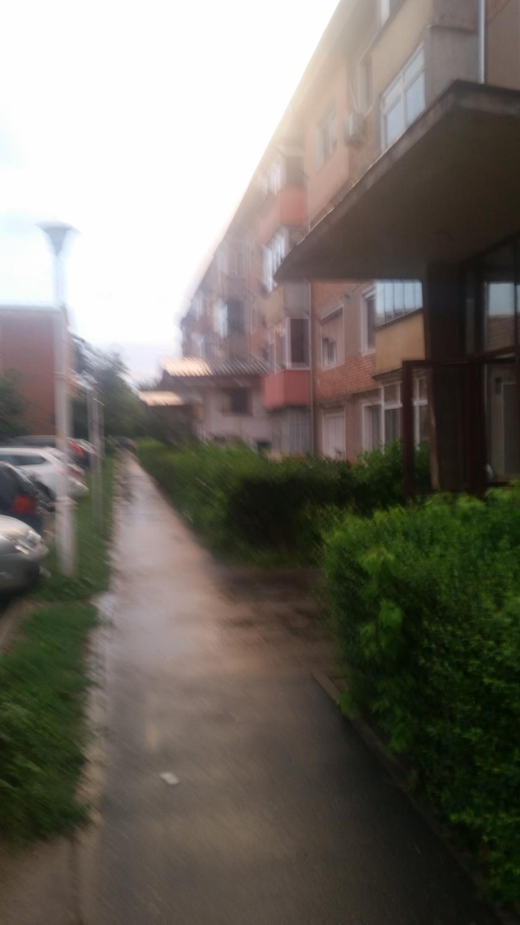 Apartment - Photo 15