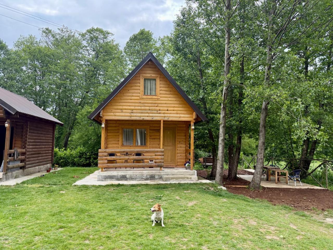 Superior Bungalow