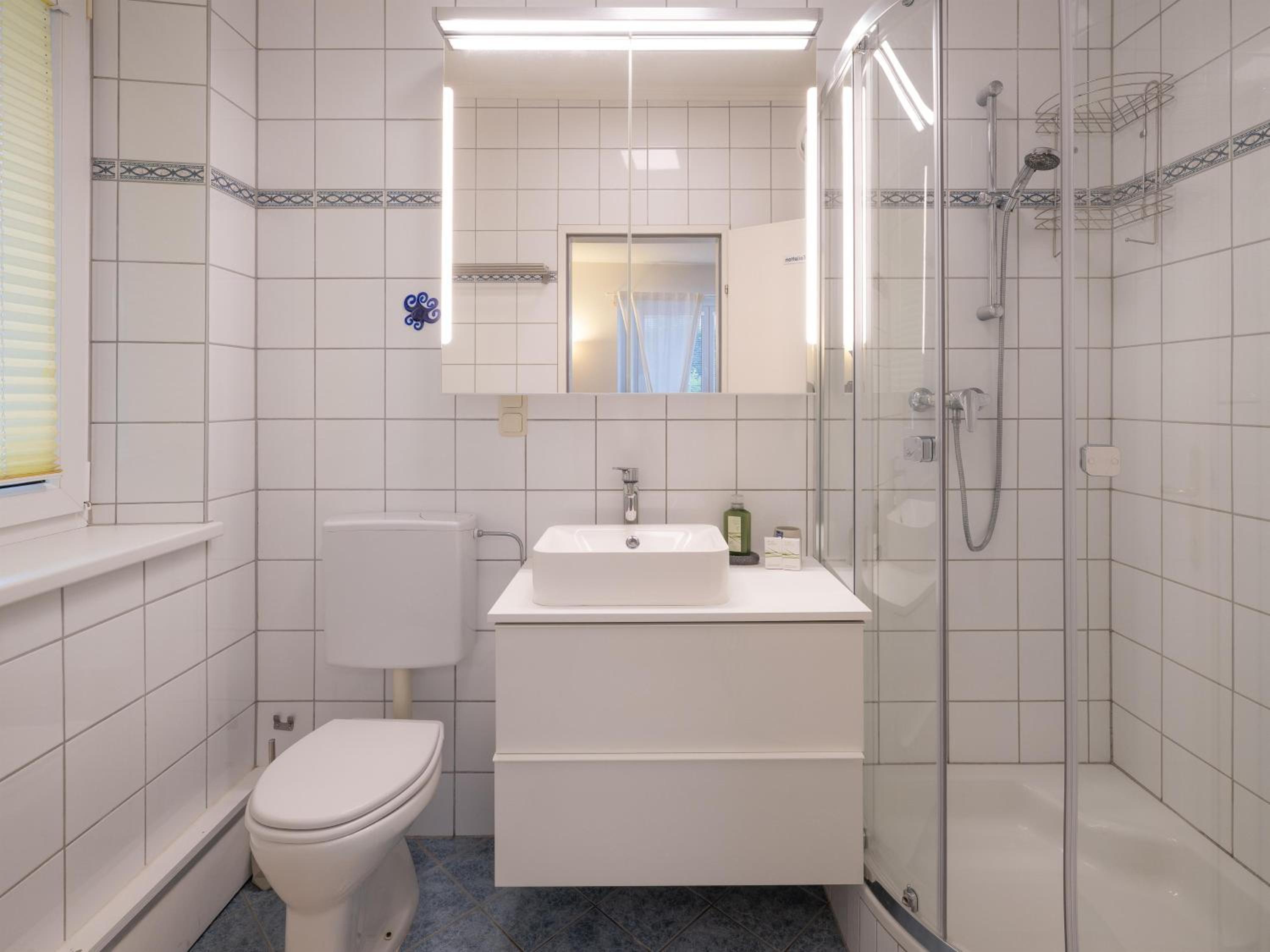 One-Bedroom Apartment with Shower