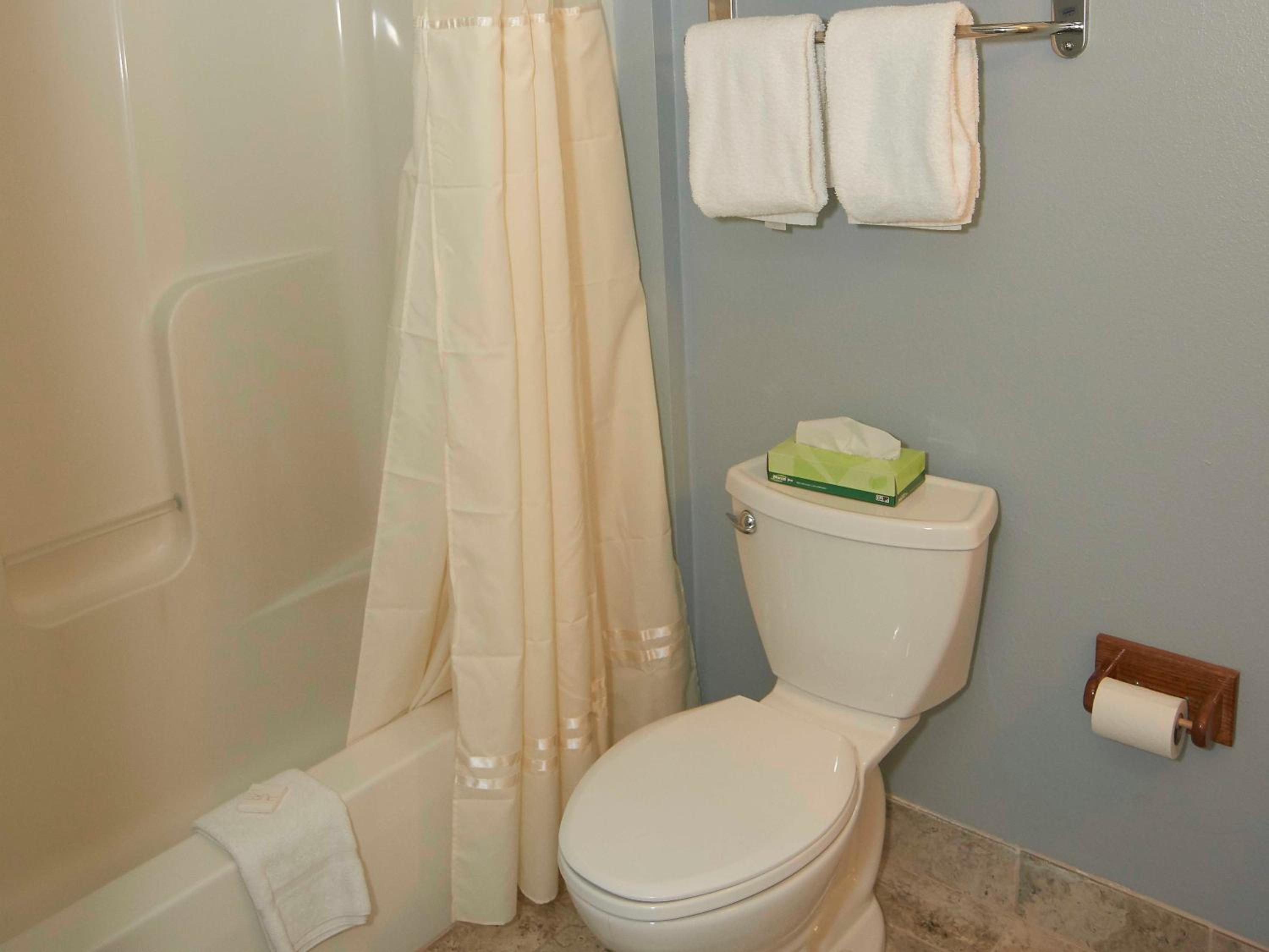 One-Bedroom King Suite - Photo 6