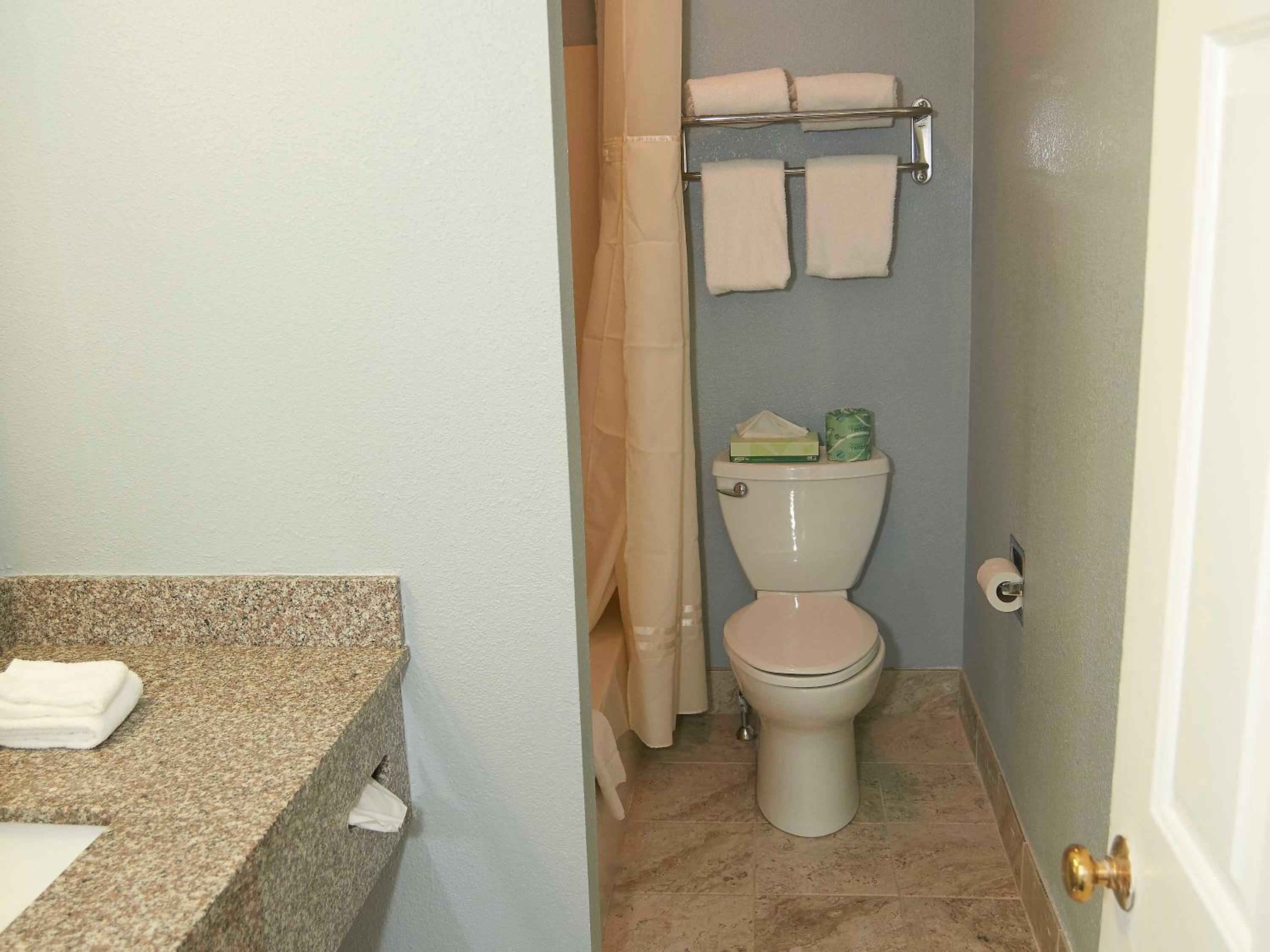 Deluxe Suite - Photo 7