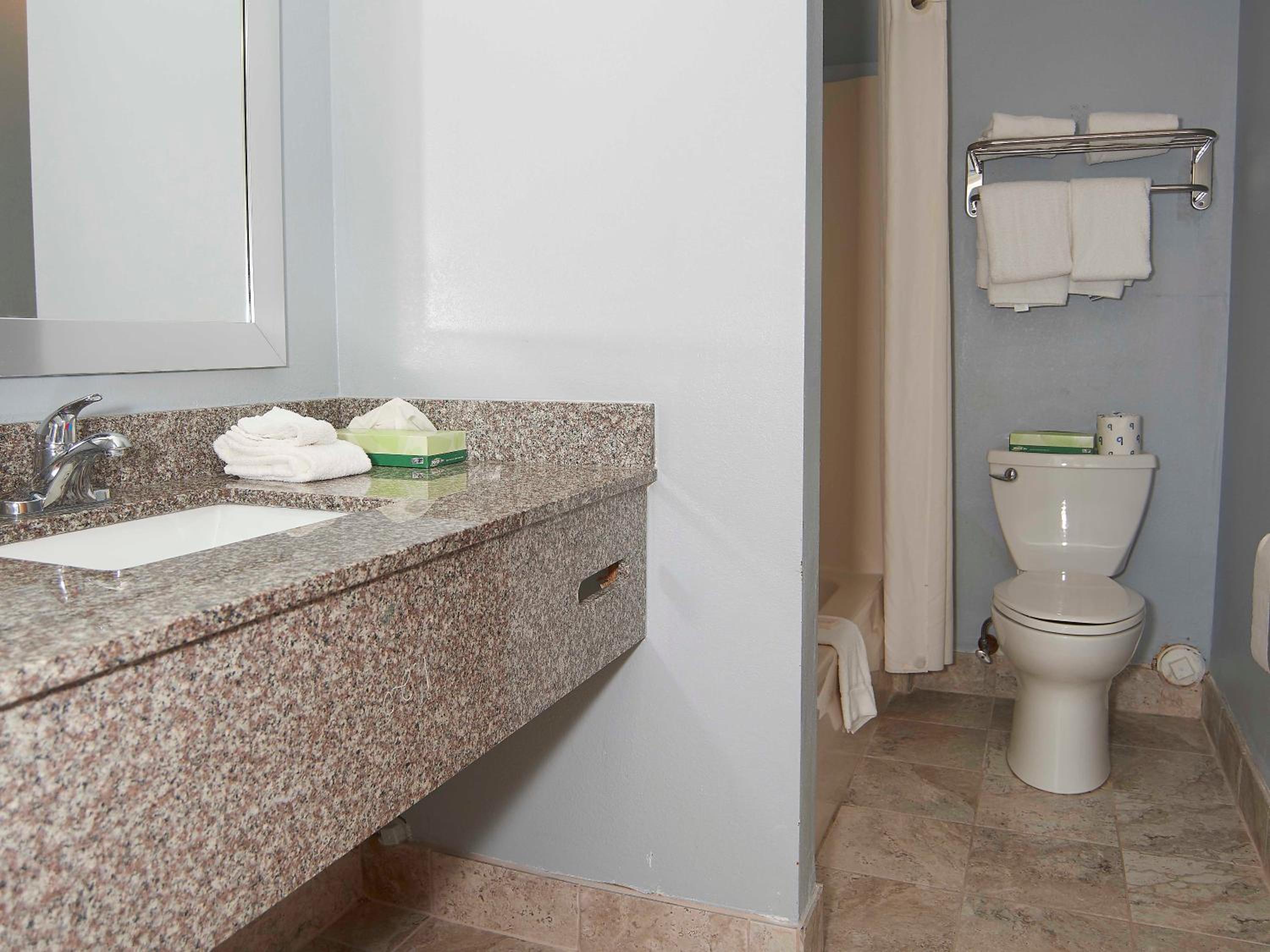 Deluxe Suite - Photo 6