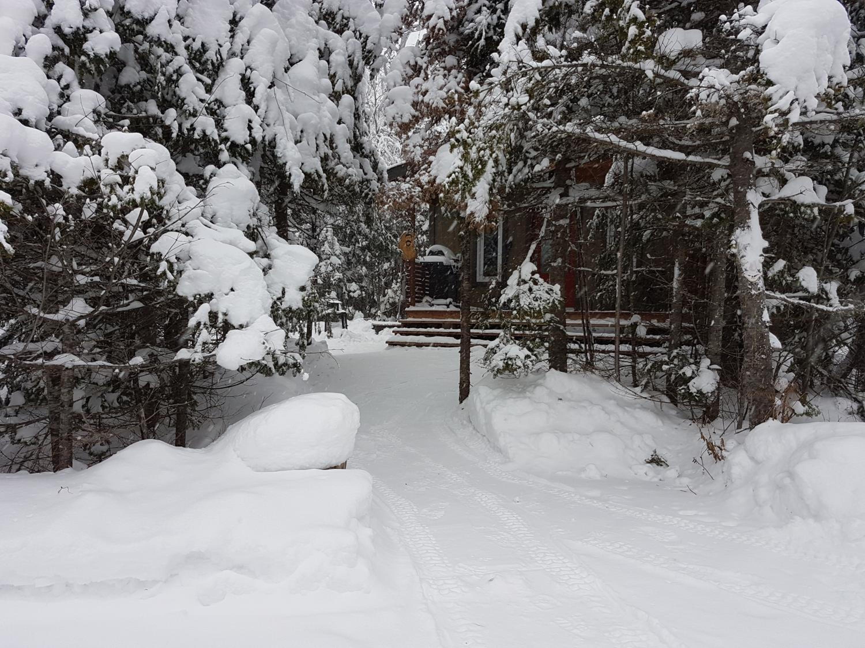 Chalet (Le Morrison) photo 2