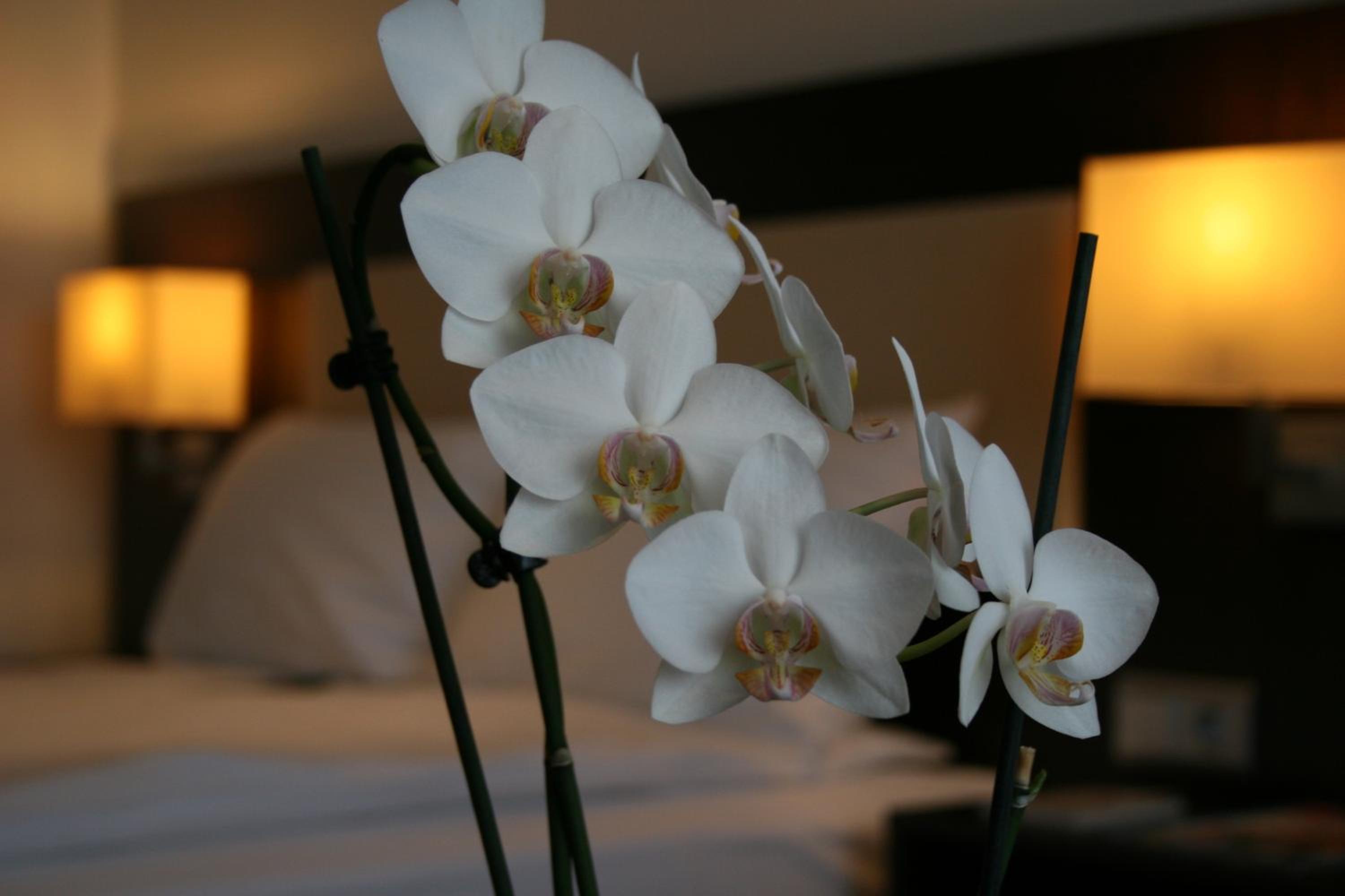 Business Queen Room with Queen Bed - Photo 3