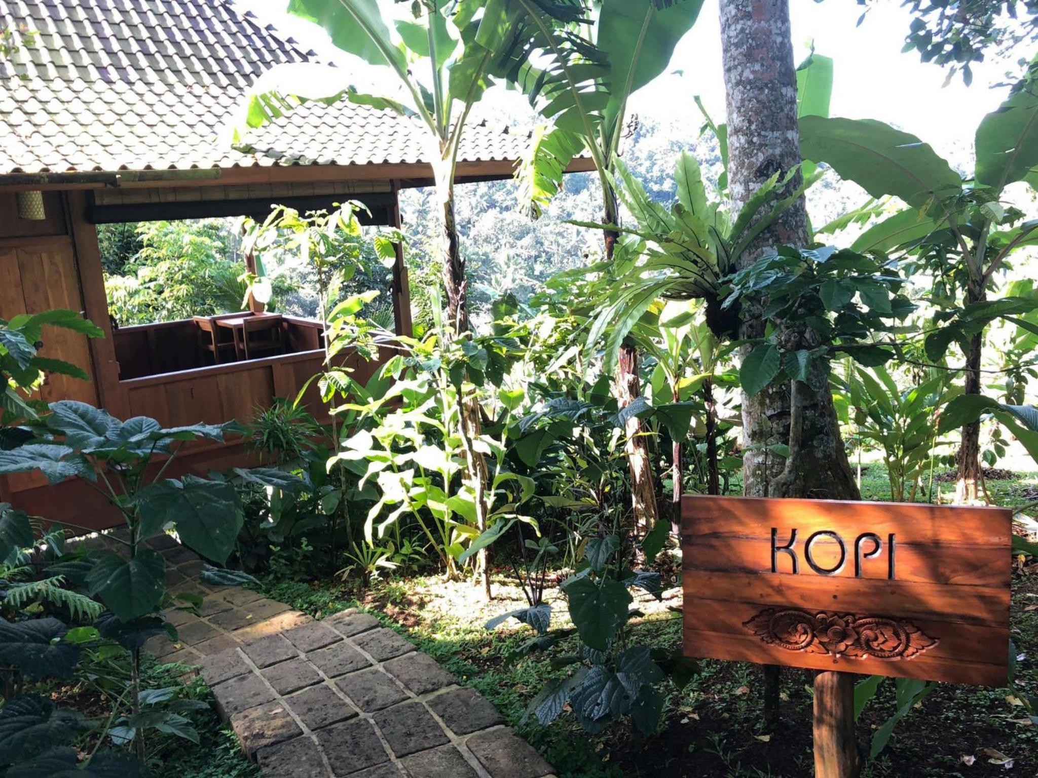 Villa Kopi - Deluxe Bungalow with Rice Field View  photo 3