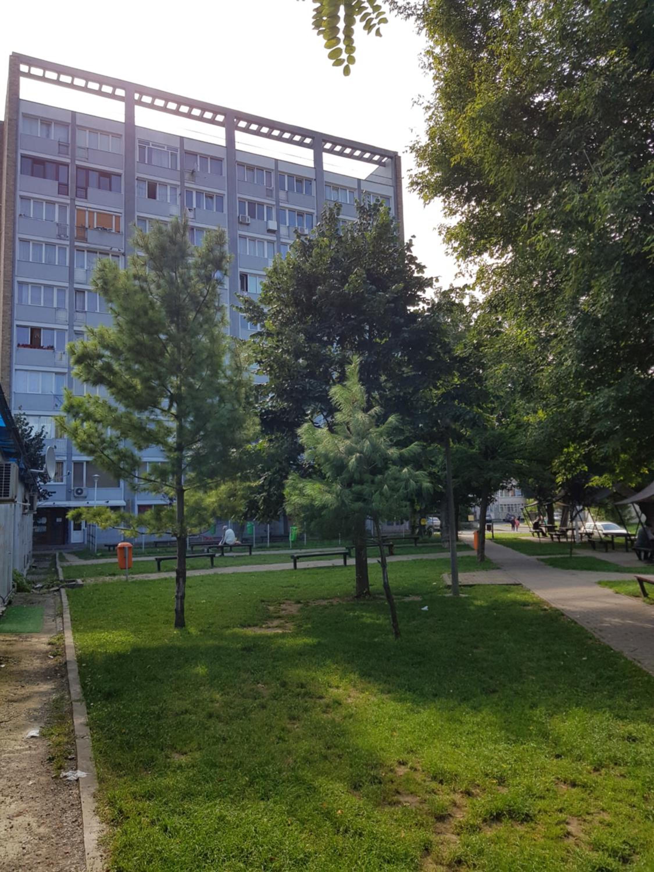 Apartment with Mountain View - Photo 6