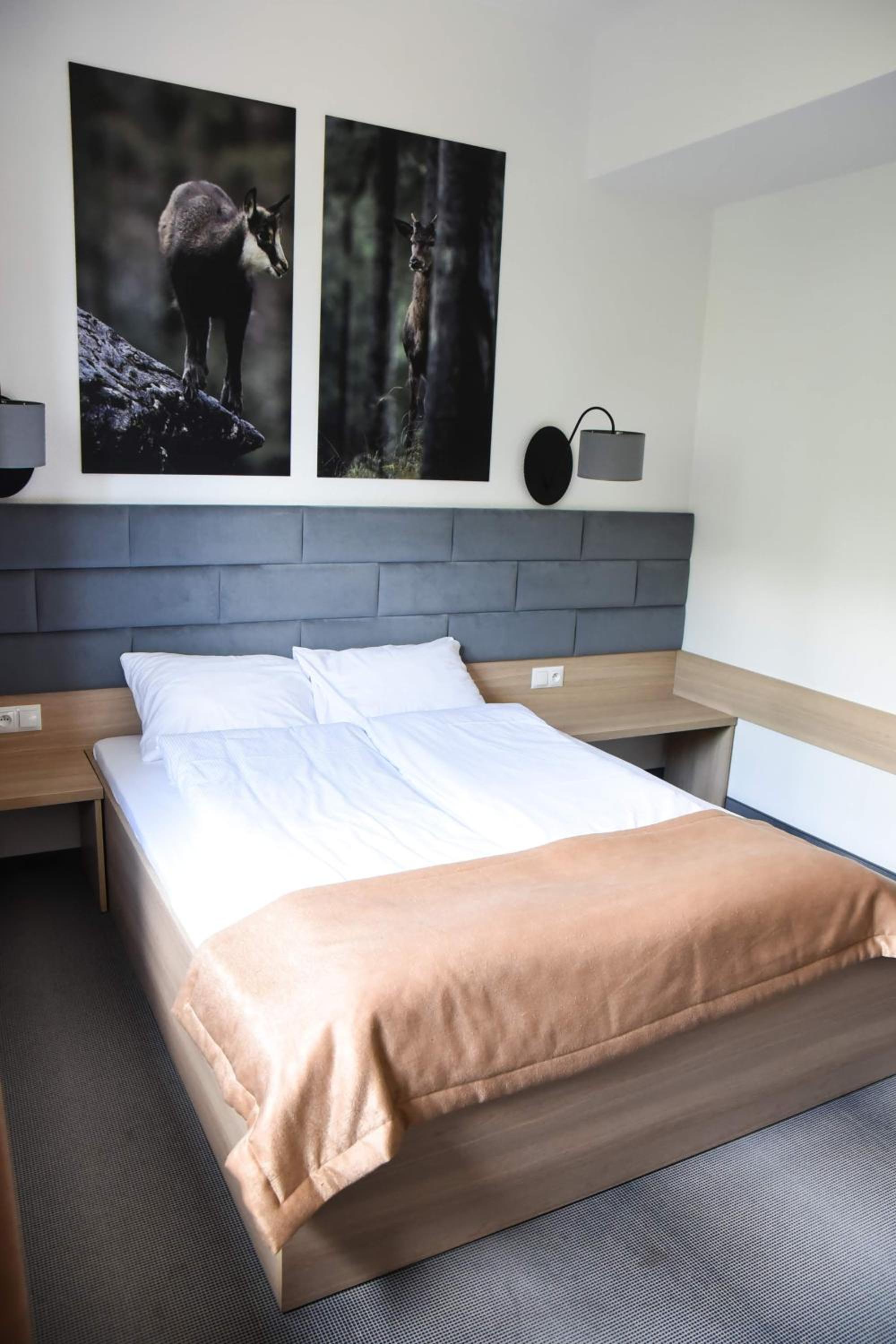 Deluxe Room photo 3
