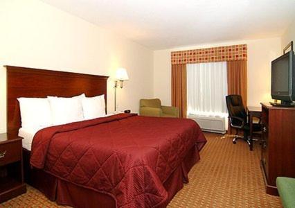 King Room - Non-Smoking - Photo 1