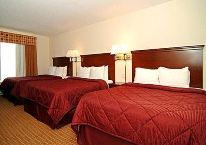 Queen Room with Two Queen Beds - Non-Smoking - Photo 4