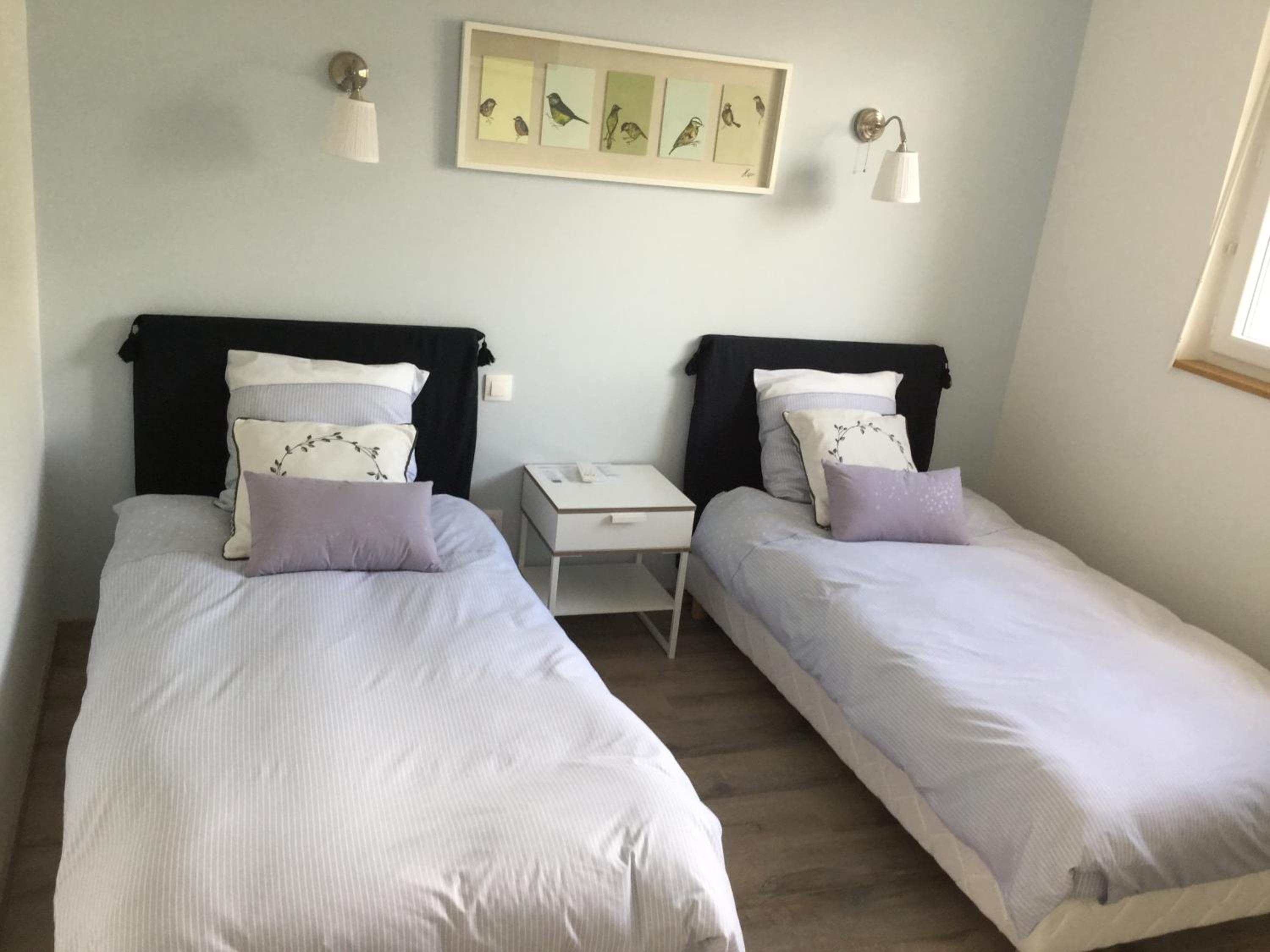 Twin Room photo 2