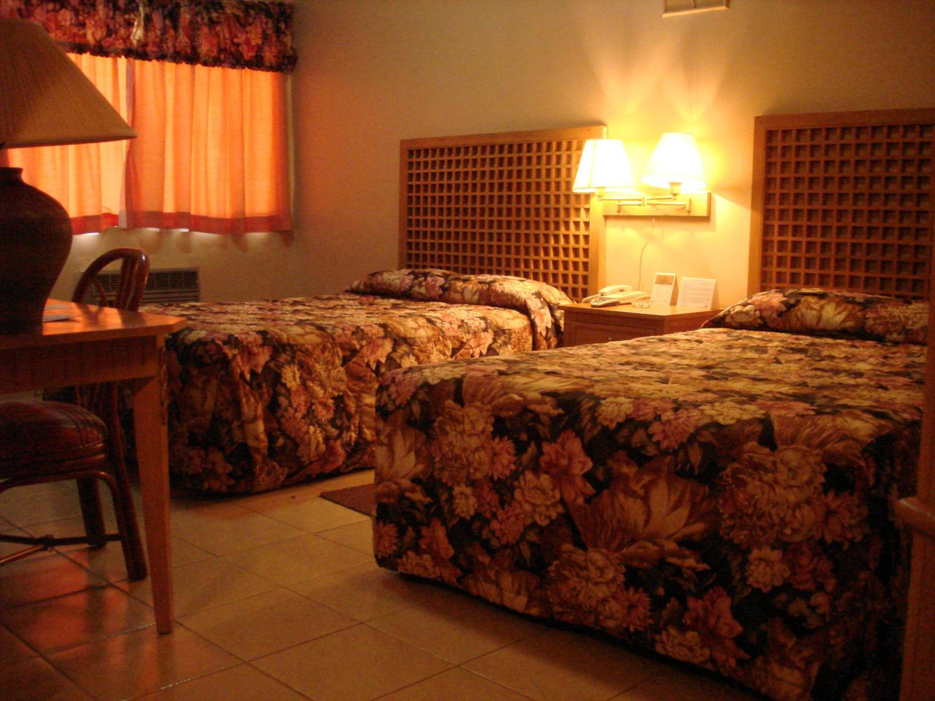 Standard Twin Room - Photo 3
