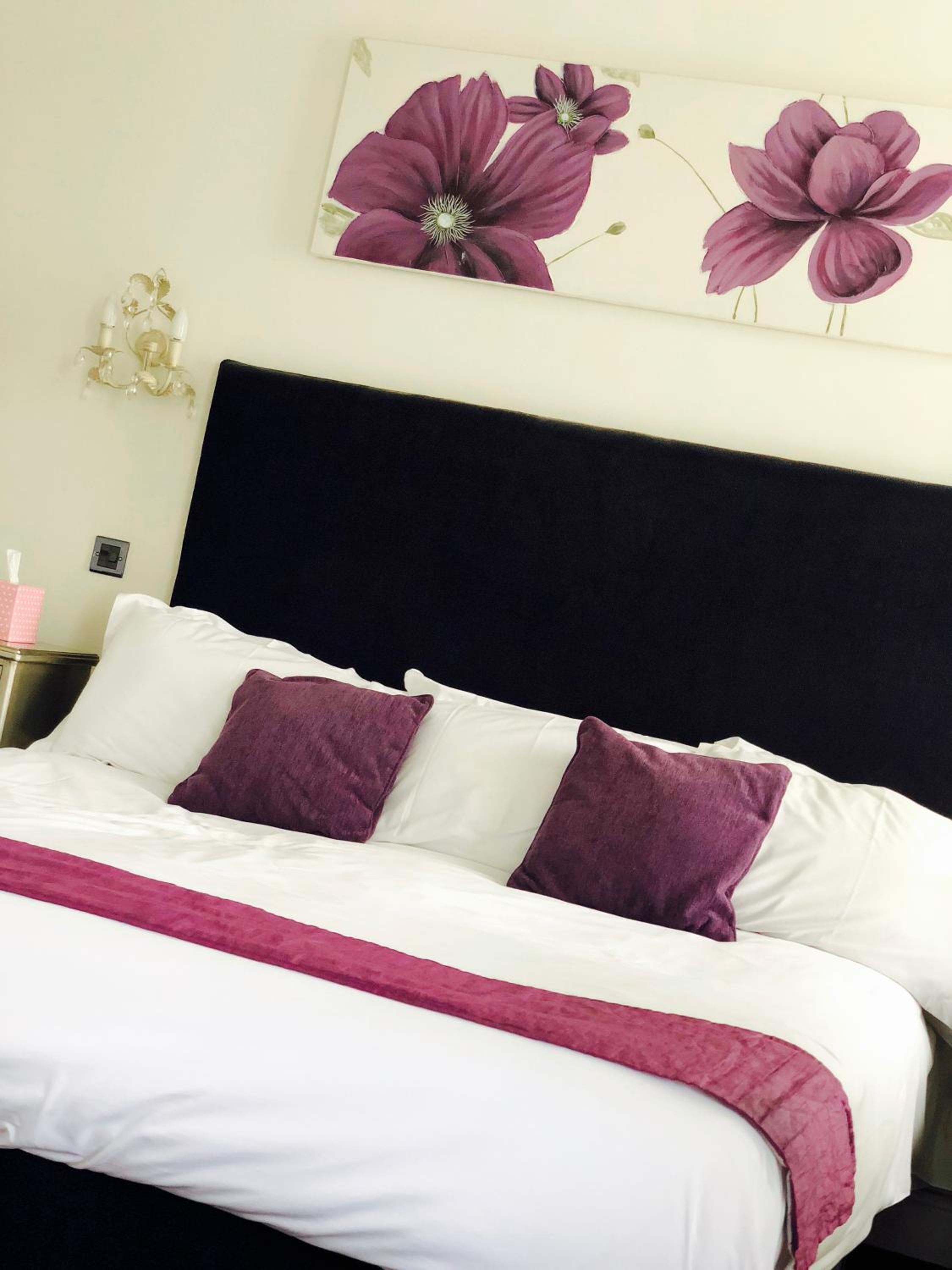 Superior Suite photo 1