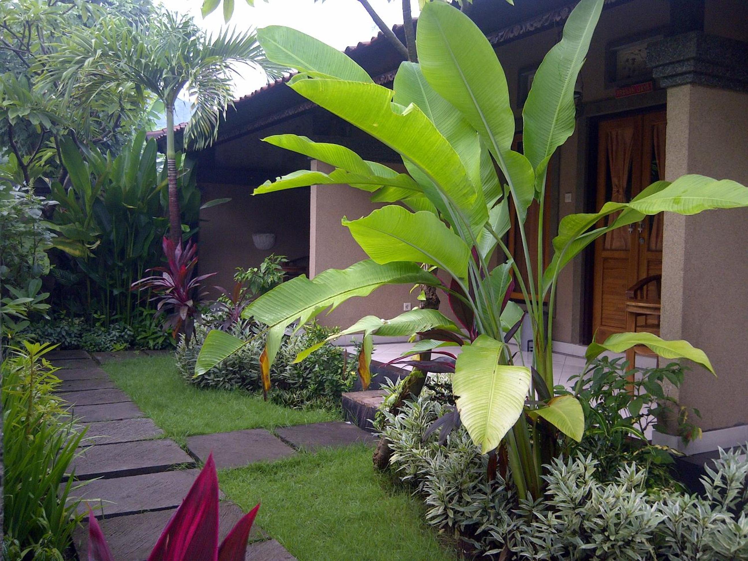 Standard Double or Twin Room - Photo 11