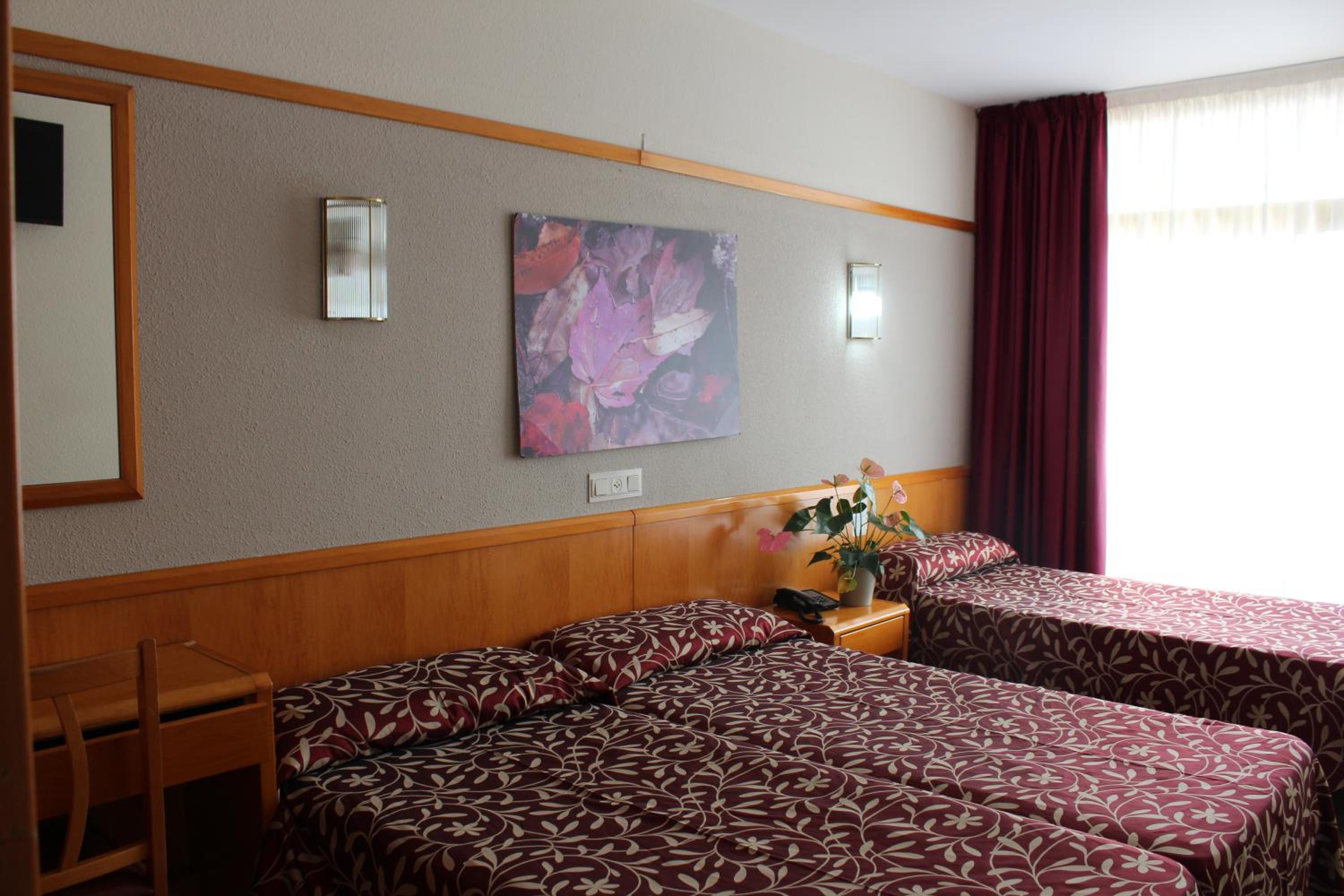 Triple Room (2 Adults + 1 Child) - 3 beds - Photo 1