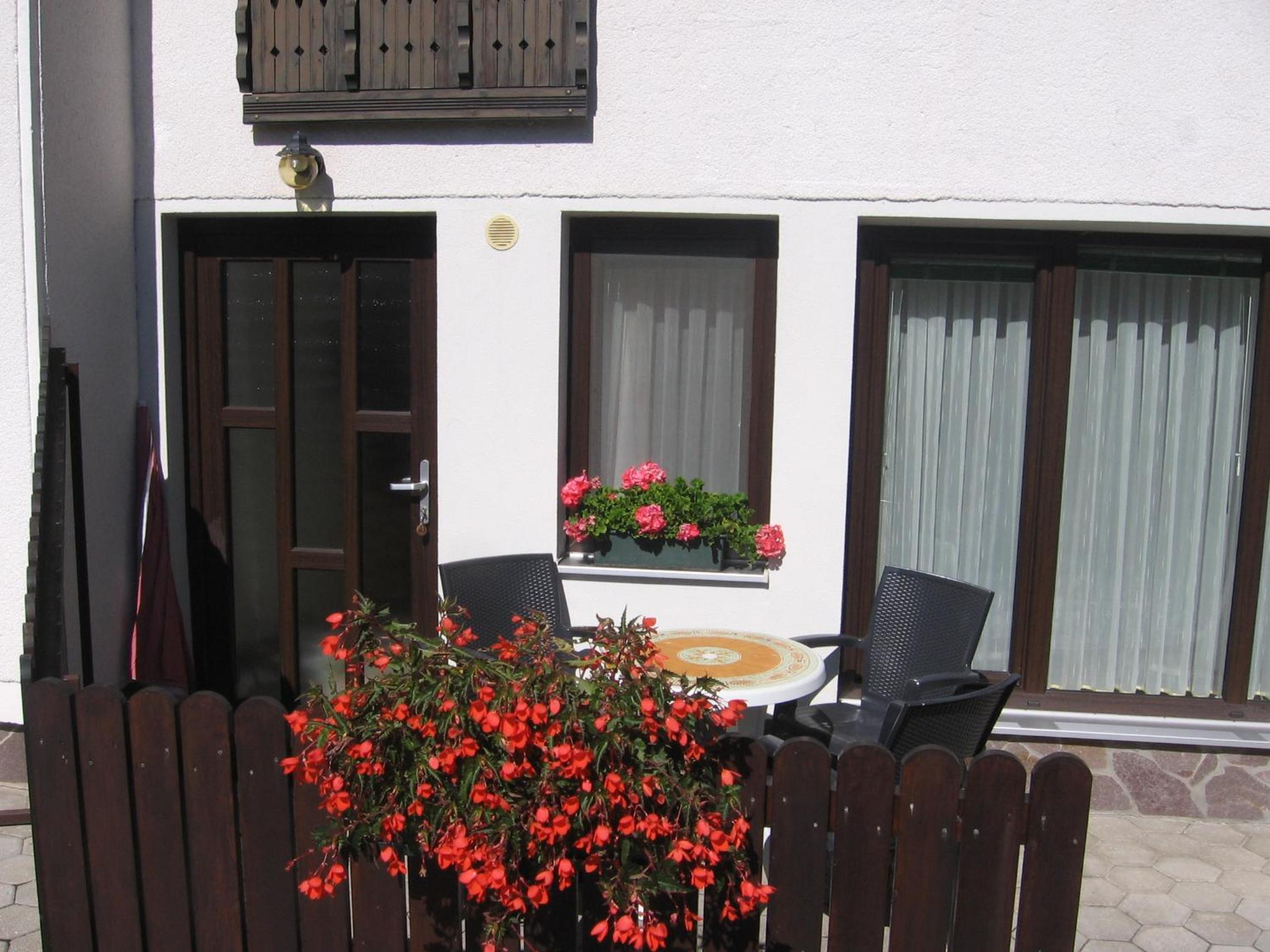 Apartment with Terrace photo 1