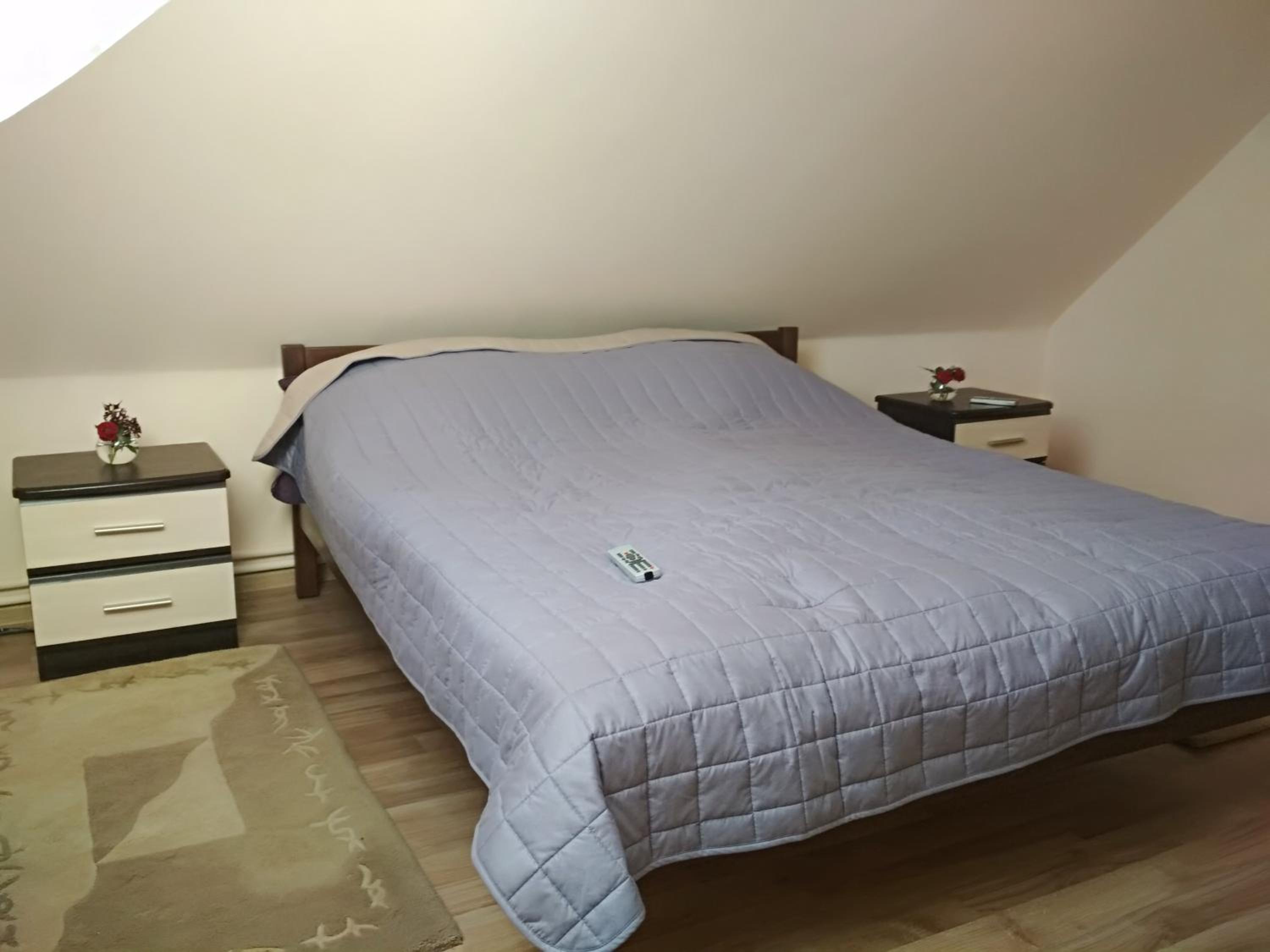 Standard Double Room with Fan photo 1