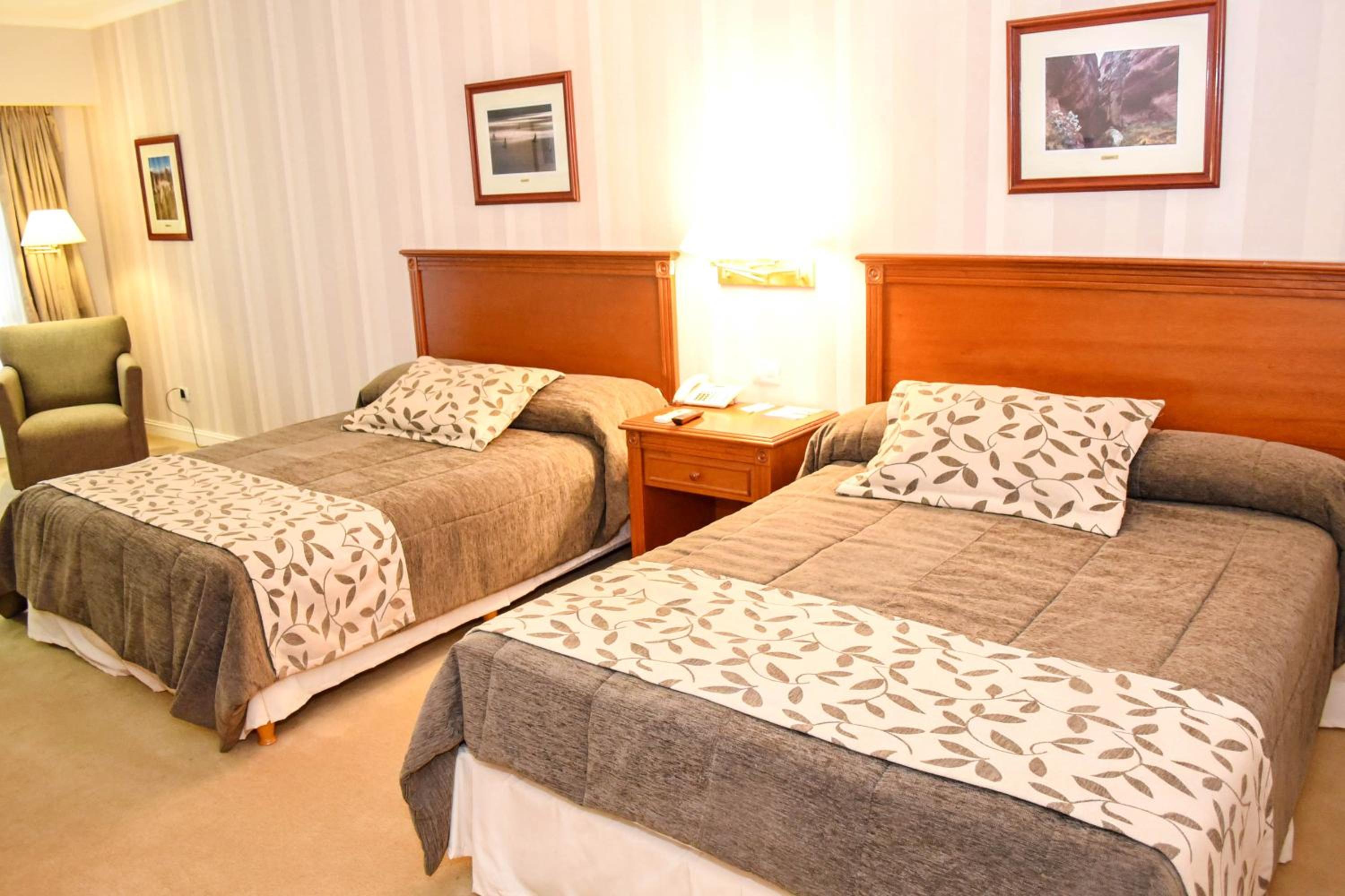 Executive Twin Room photo 2