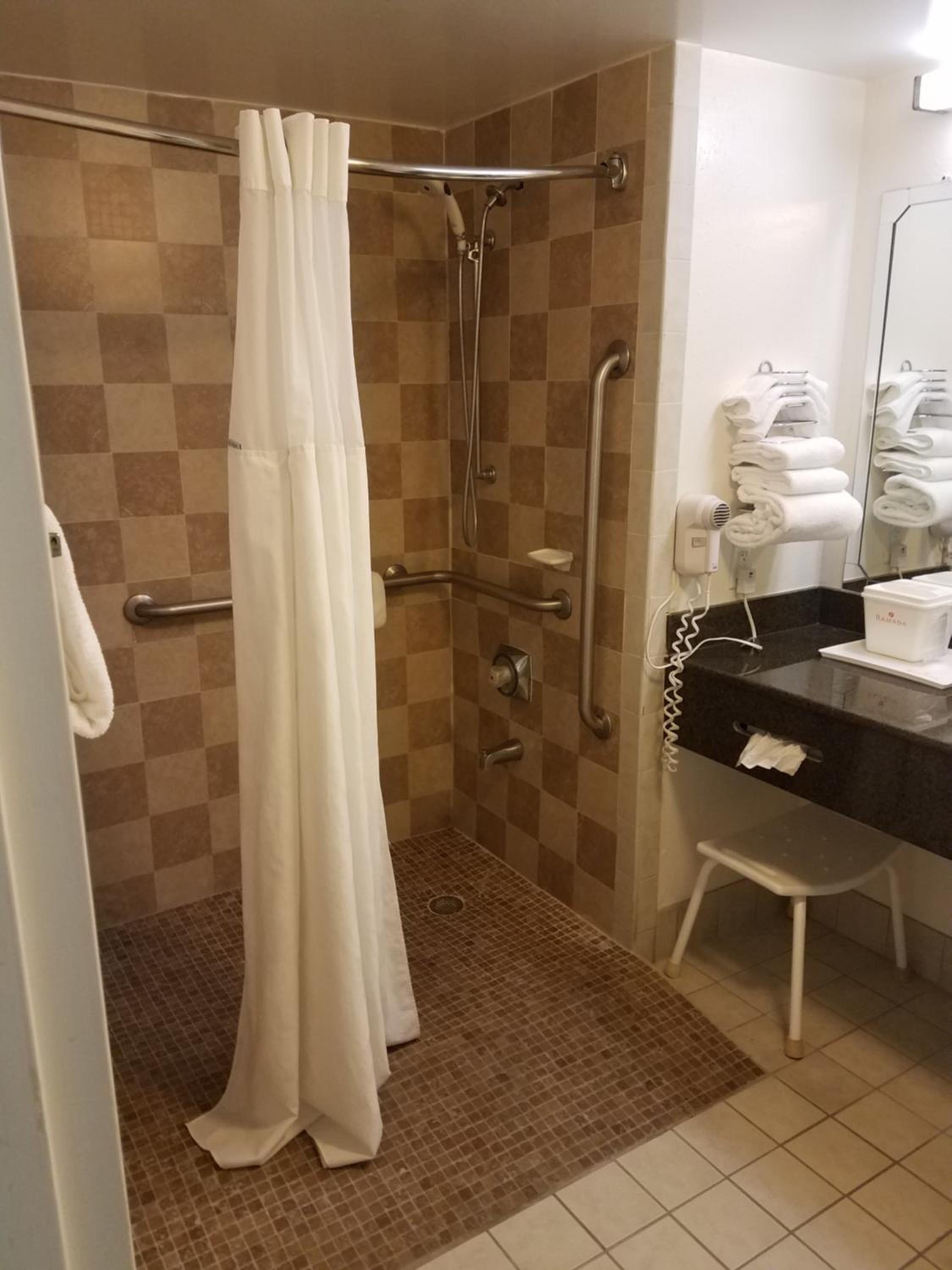 Queen Room with Roll-In Shower - Mobility Accessible/Non-Smoking - Photo 4