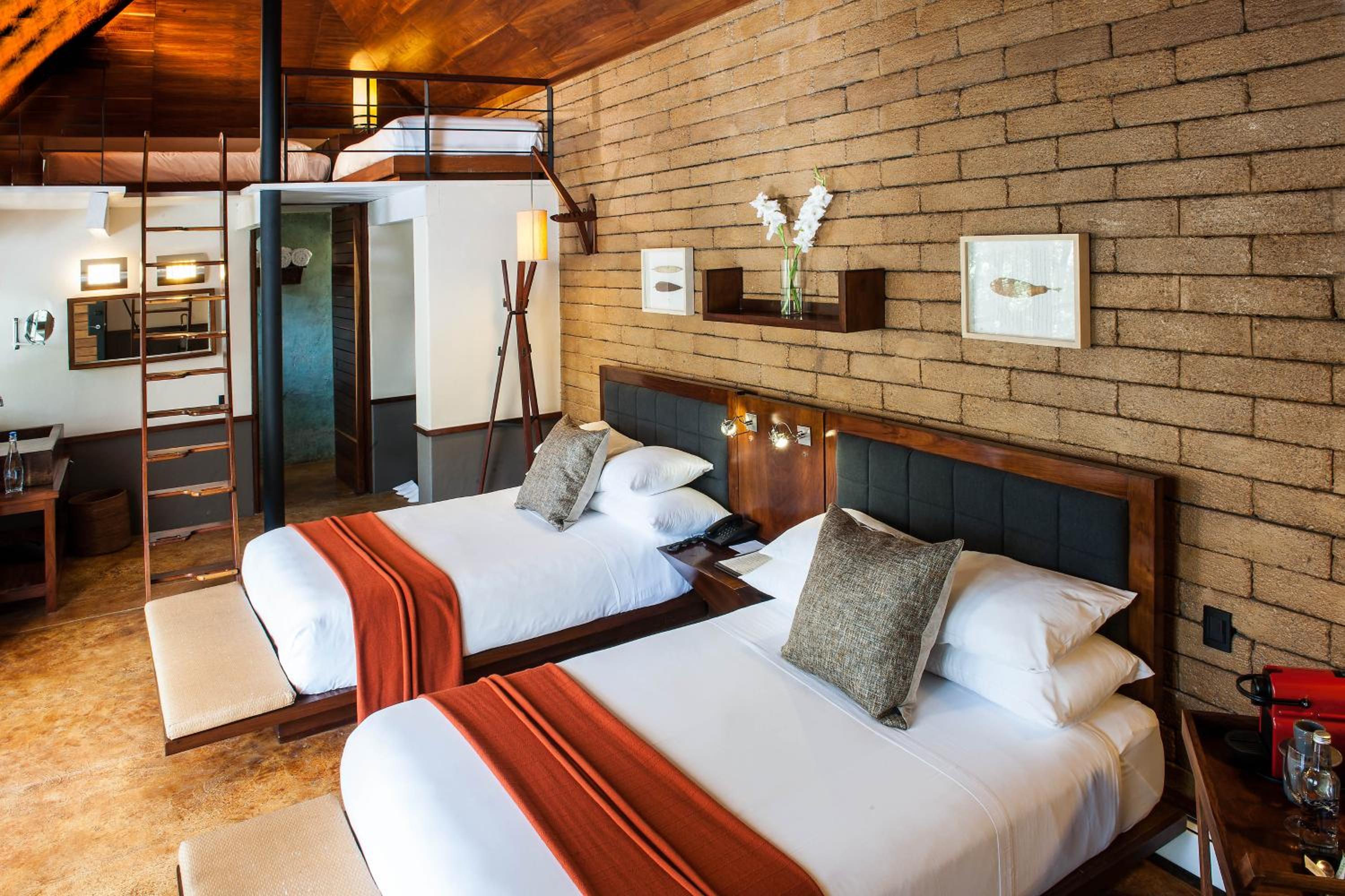 Suite - Photo 1