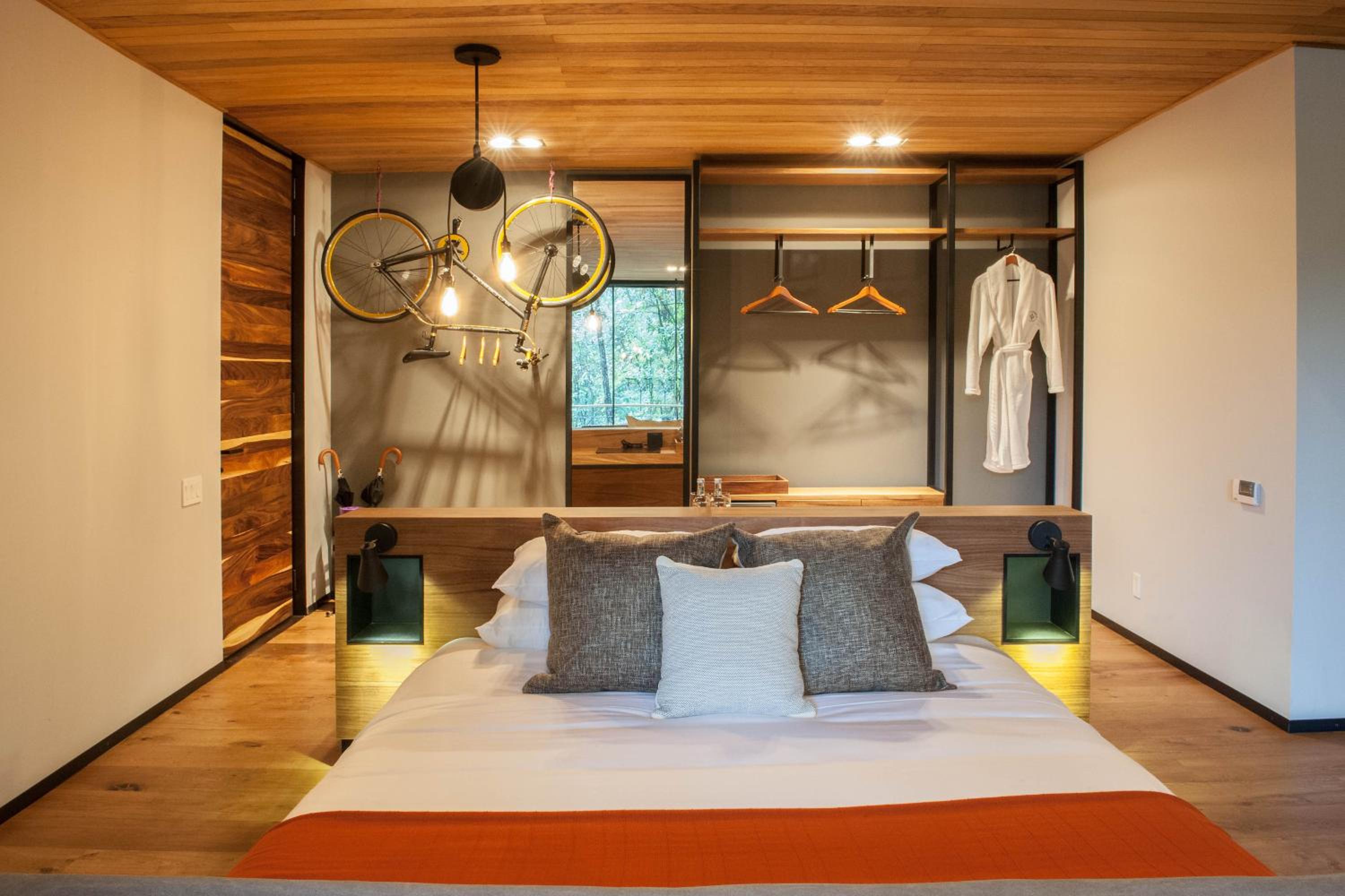 Deluxe King Suite - Photo 10