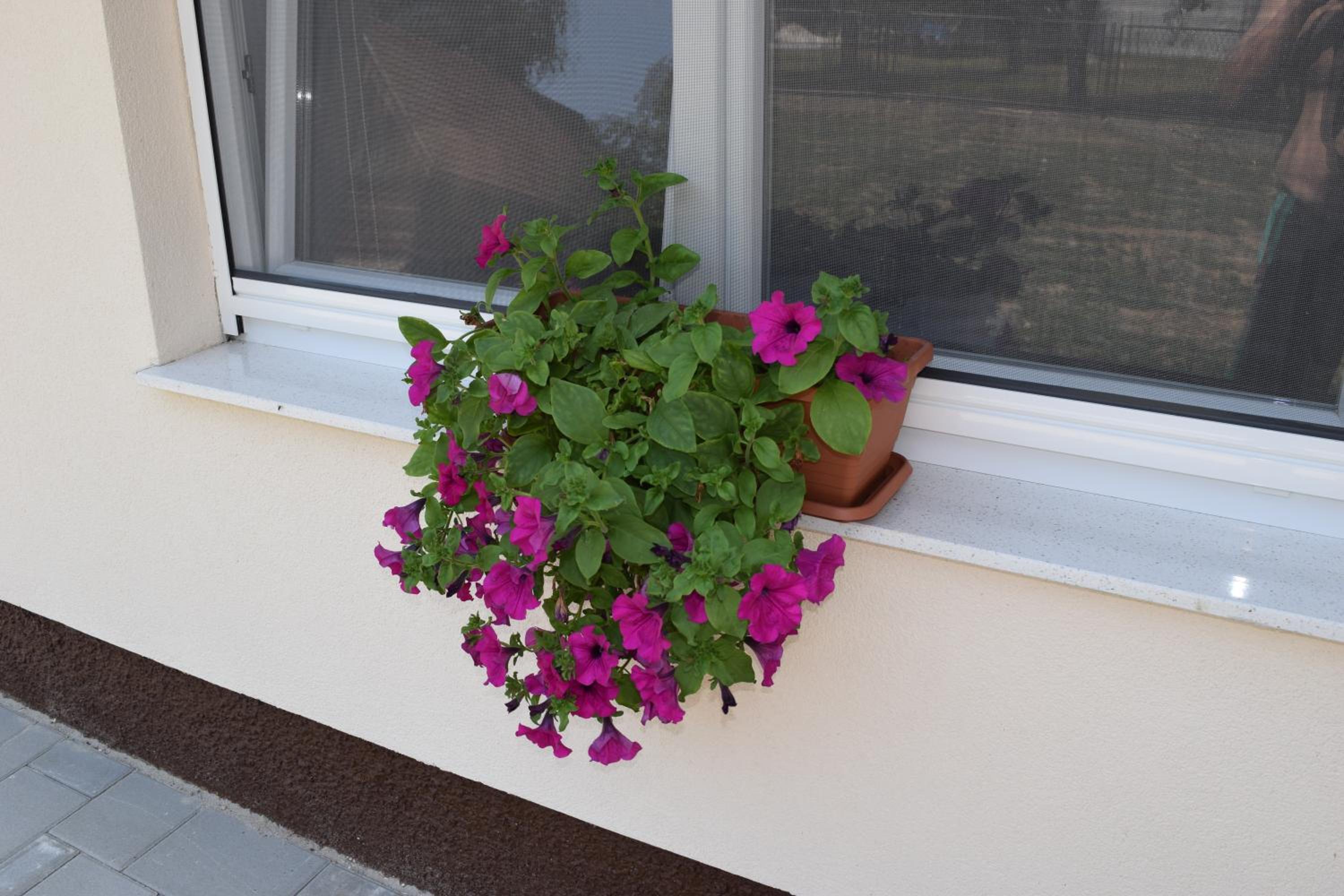 Apartment - Photo 22