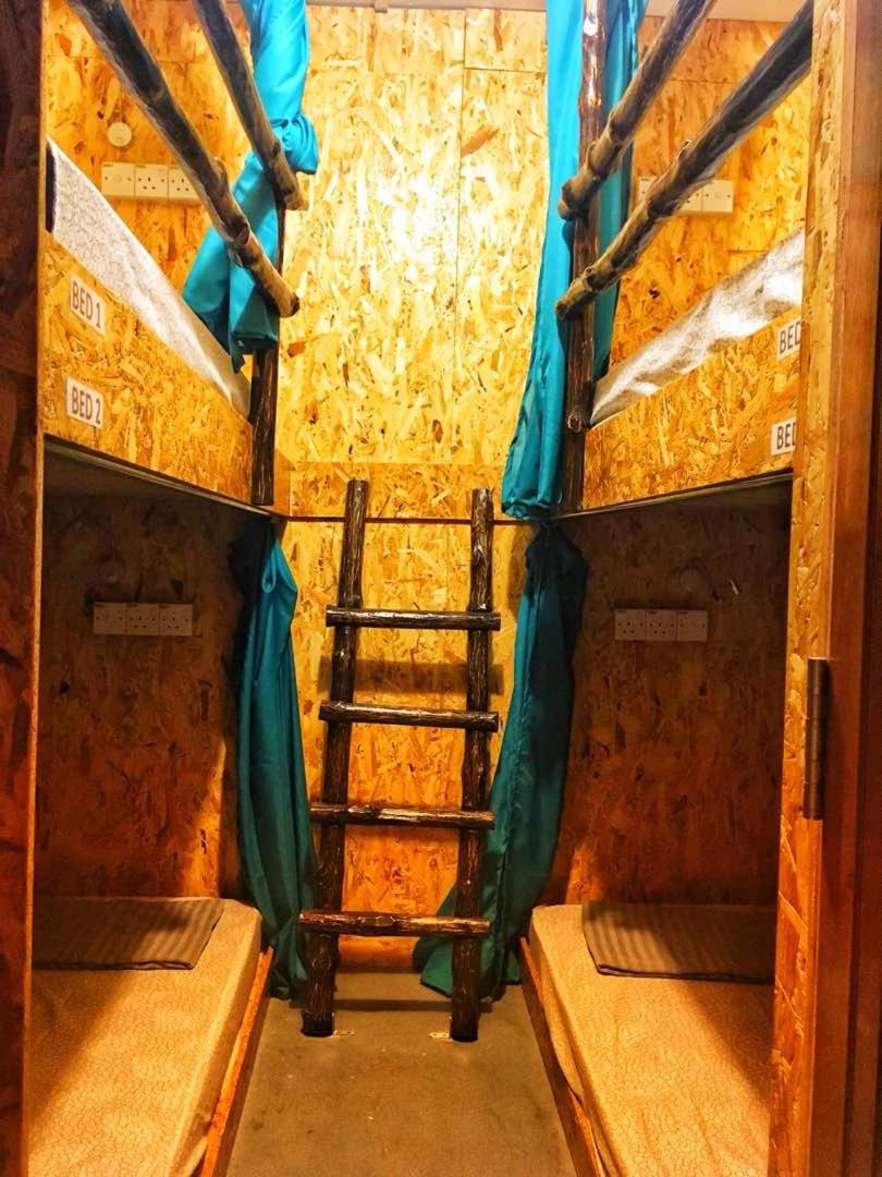 Bunk Bed in Mixed Dormitory Room photo 2