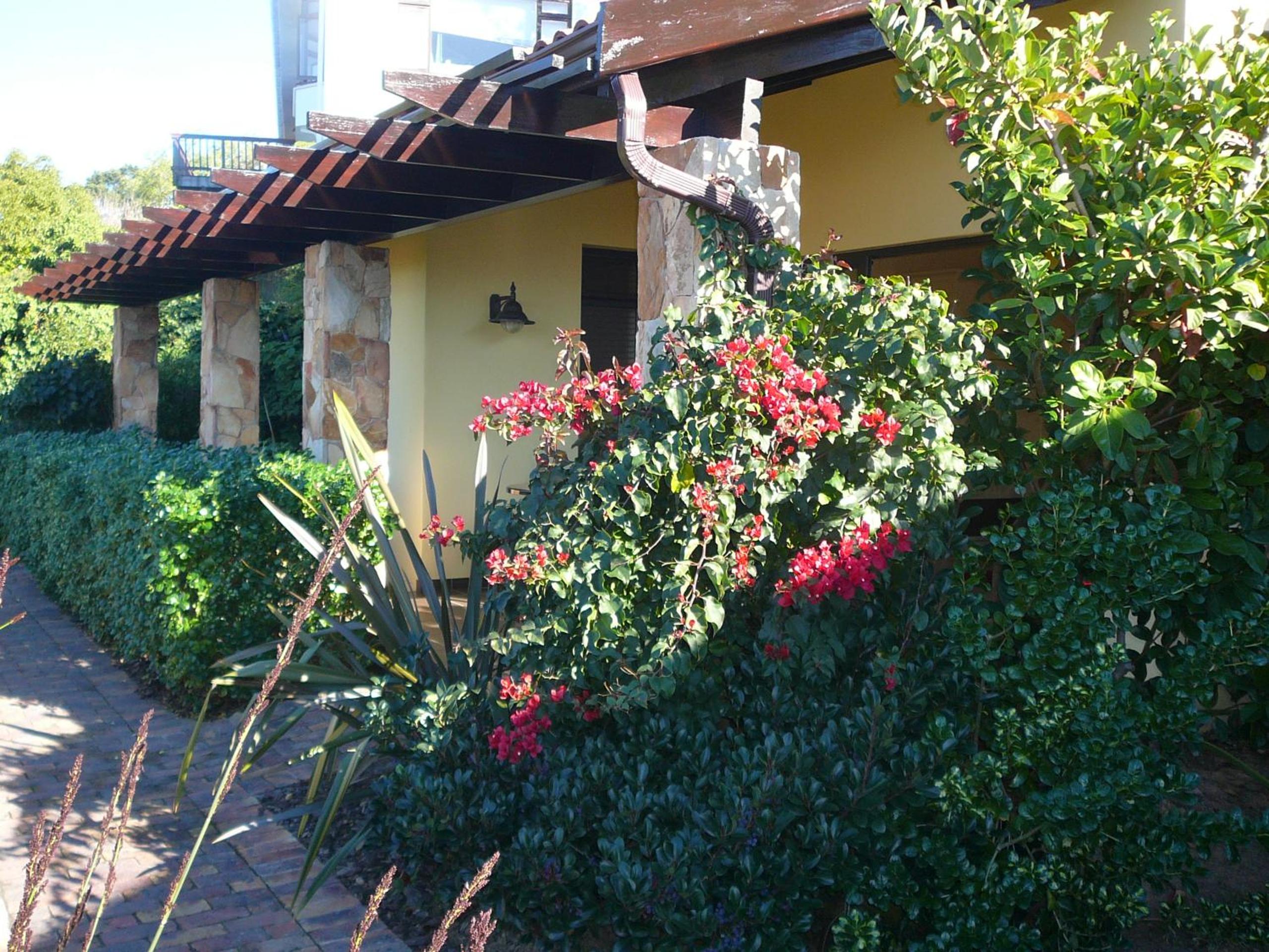 Albatross Suite - Superior Double or Twin Room photo 3
