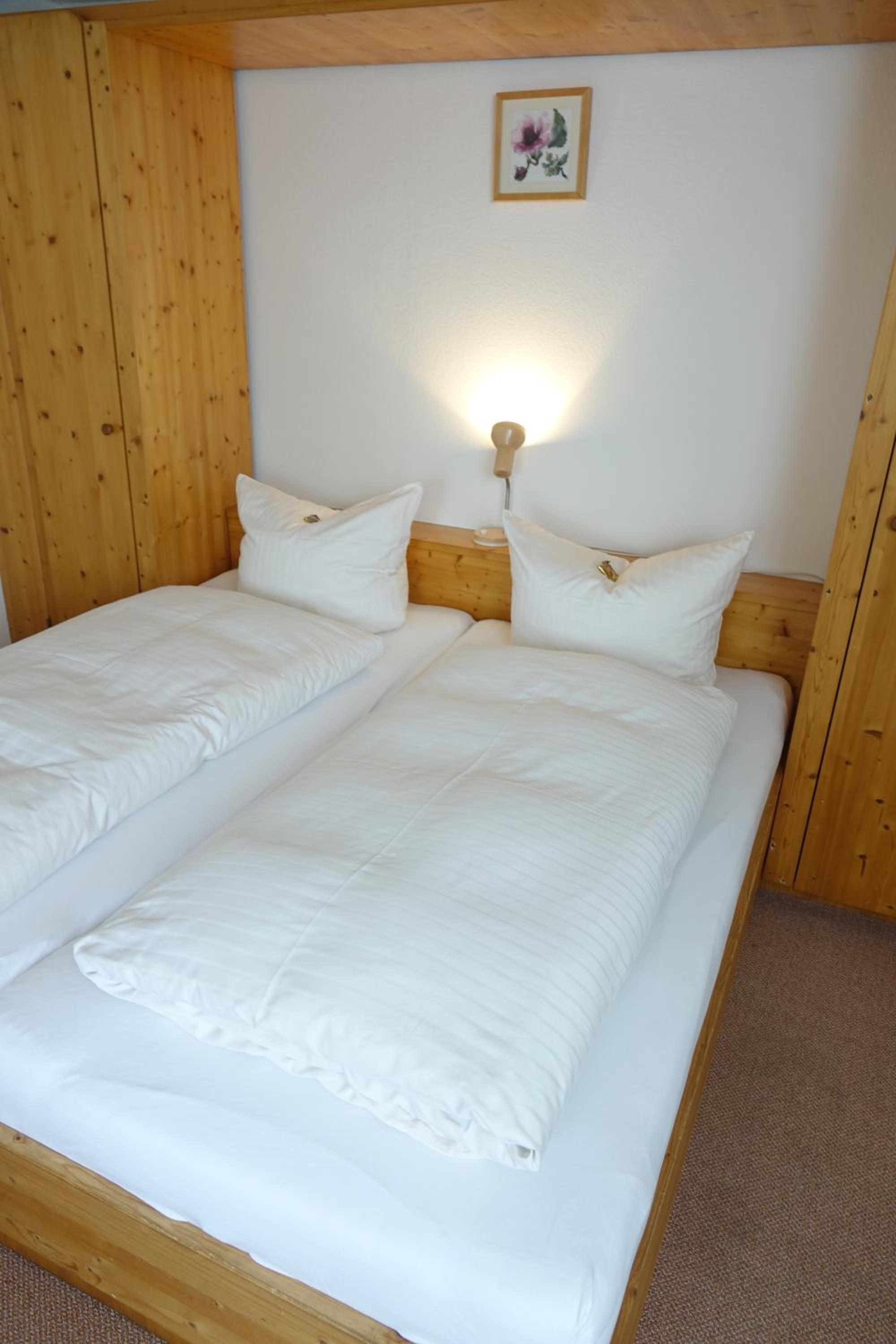 Double or Twin Room photo 3