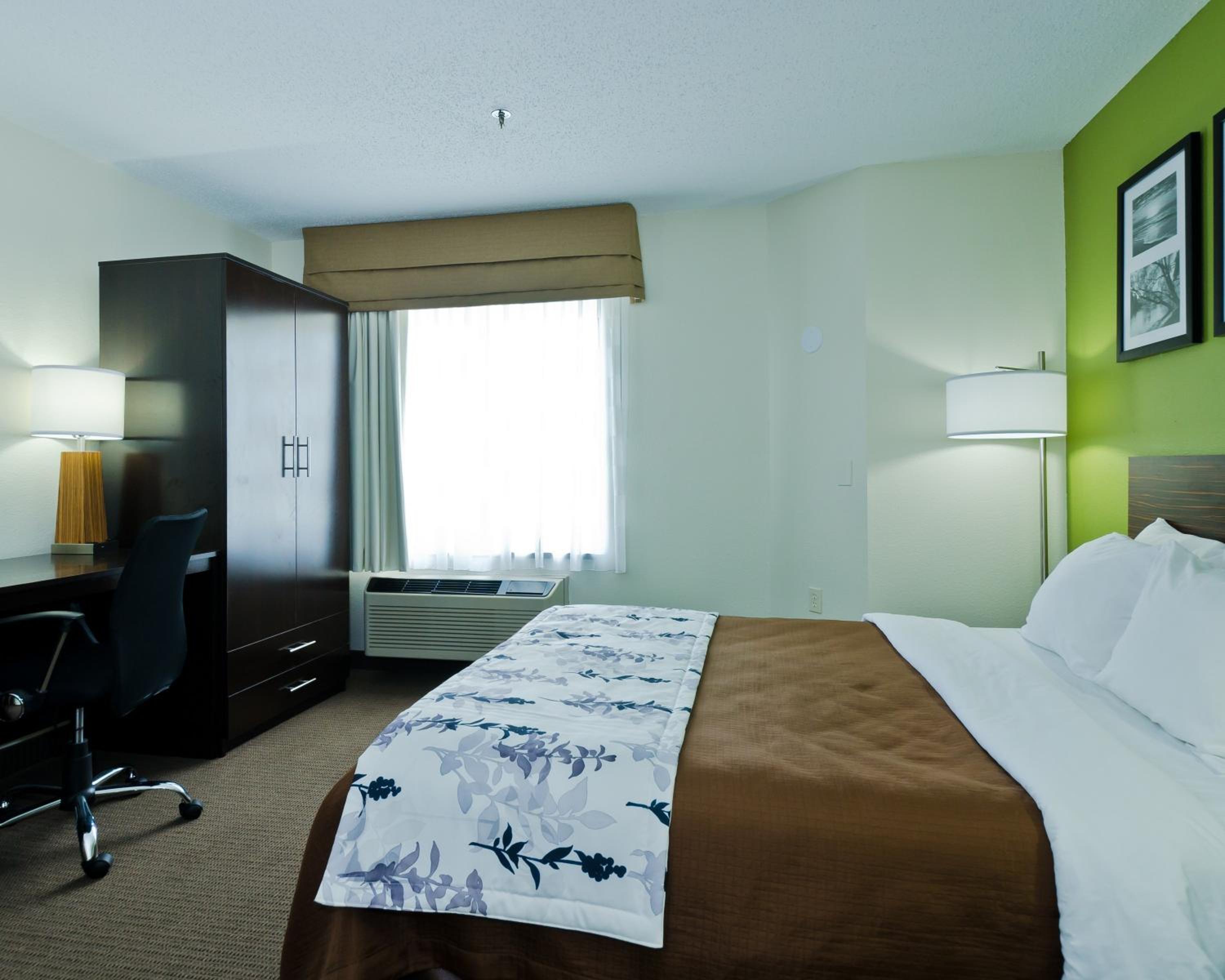 King Room - Non-Smoking - Photo 3