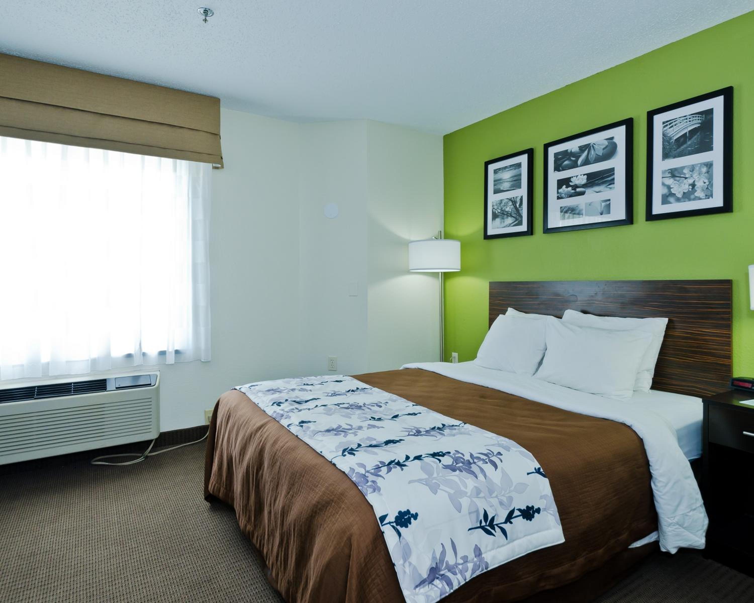 King Room - Non-Smoking - Photo 4