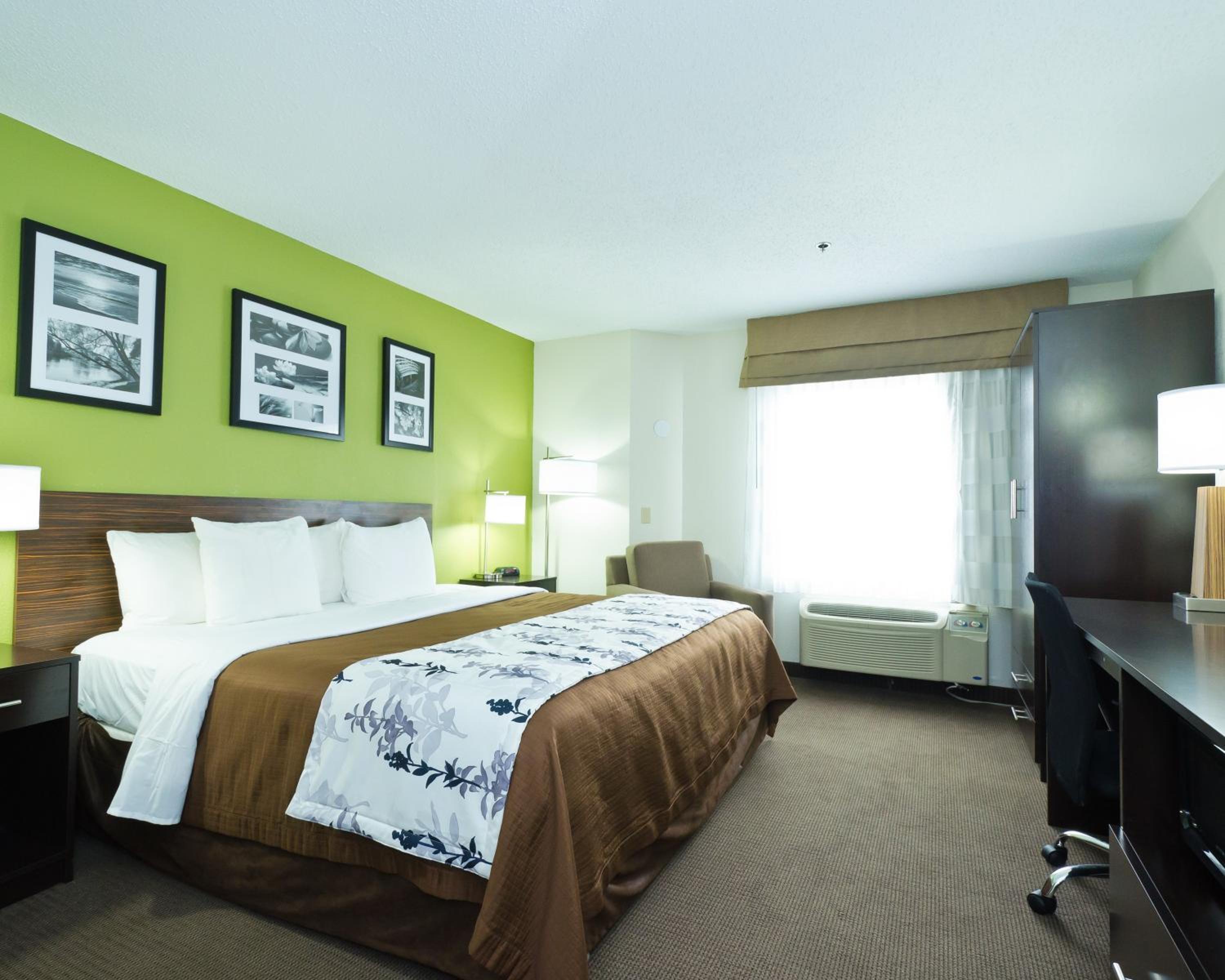 King Room - Non-Smoking - Photo 5
