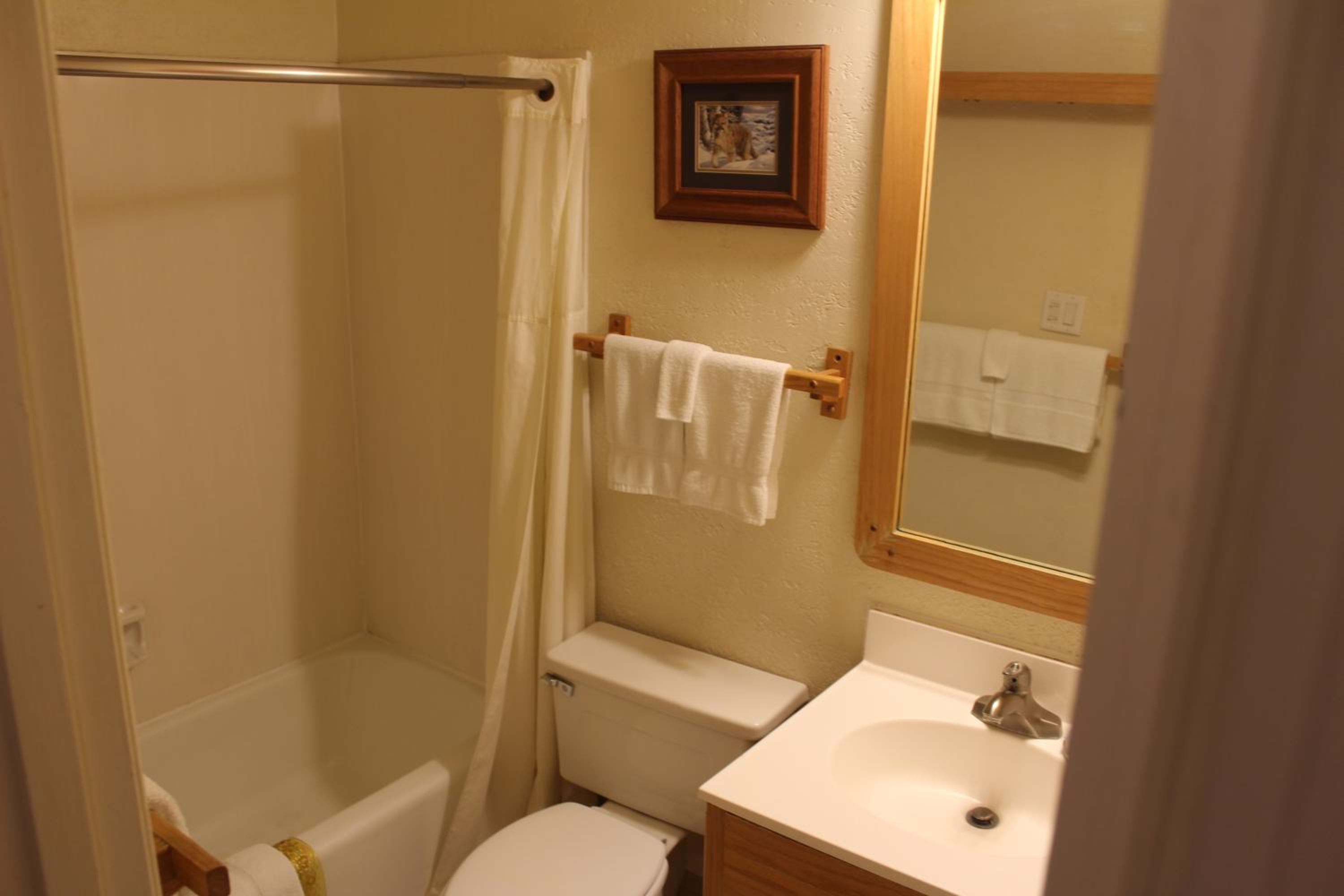 Double Suite photo 2