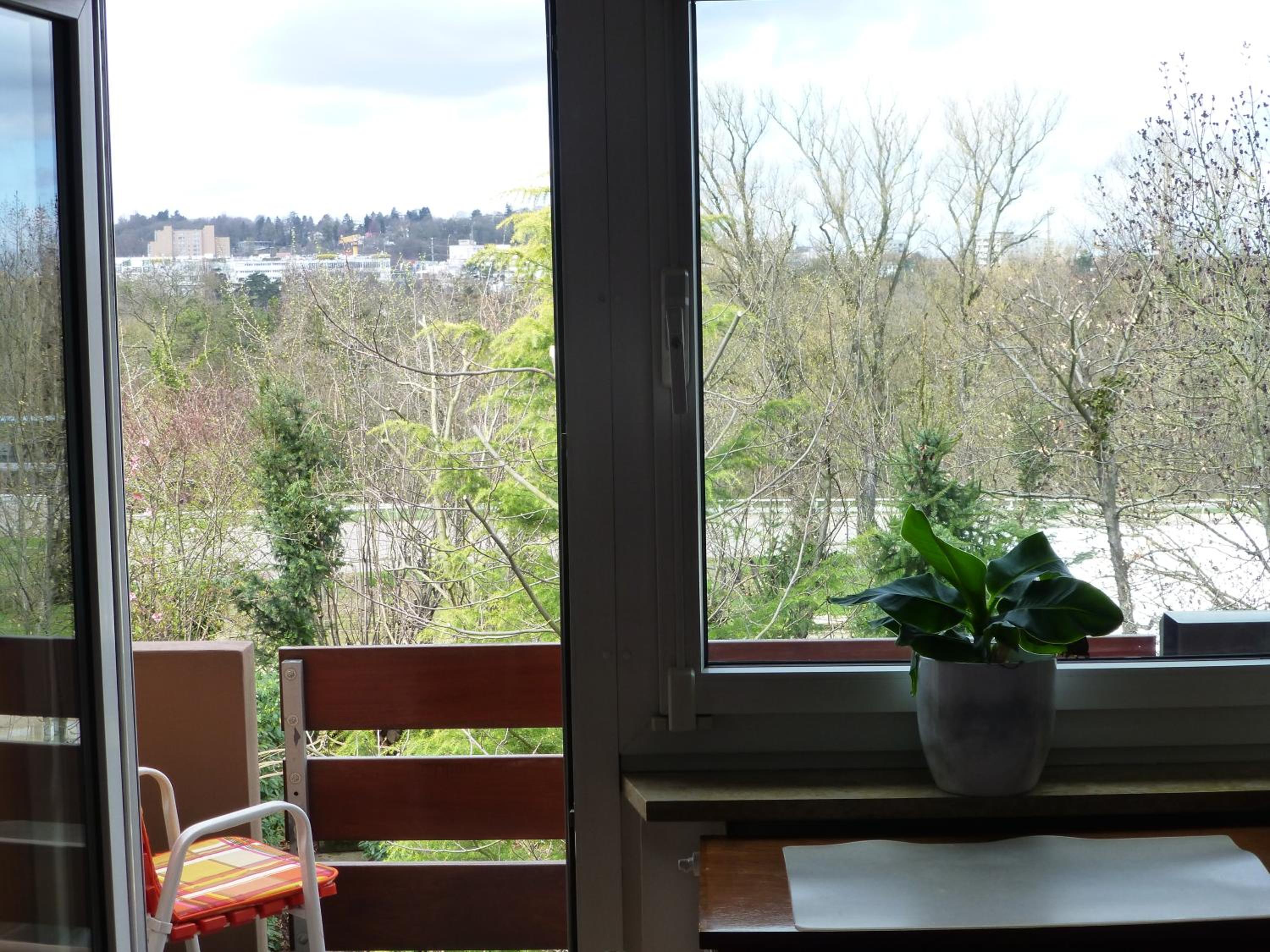 Twin Room with Shared Bathroom and Balcony photo 3