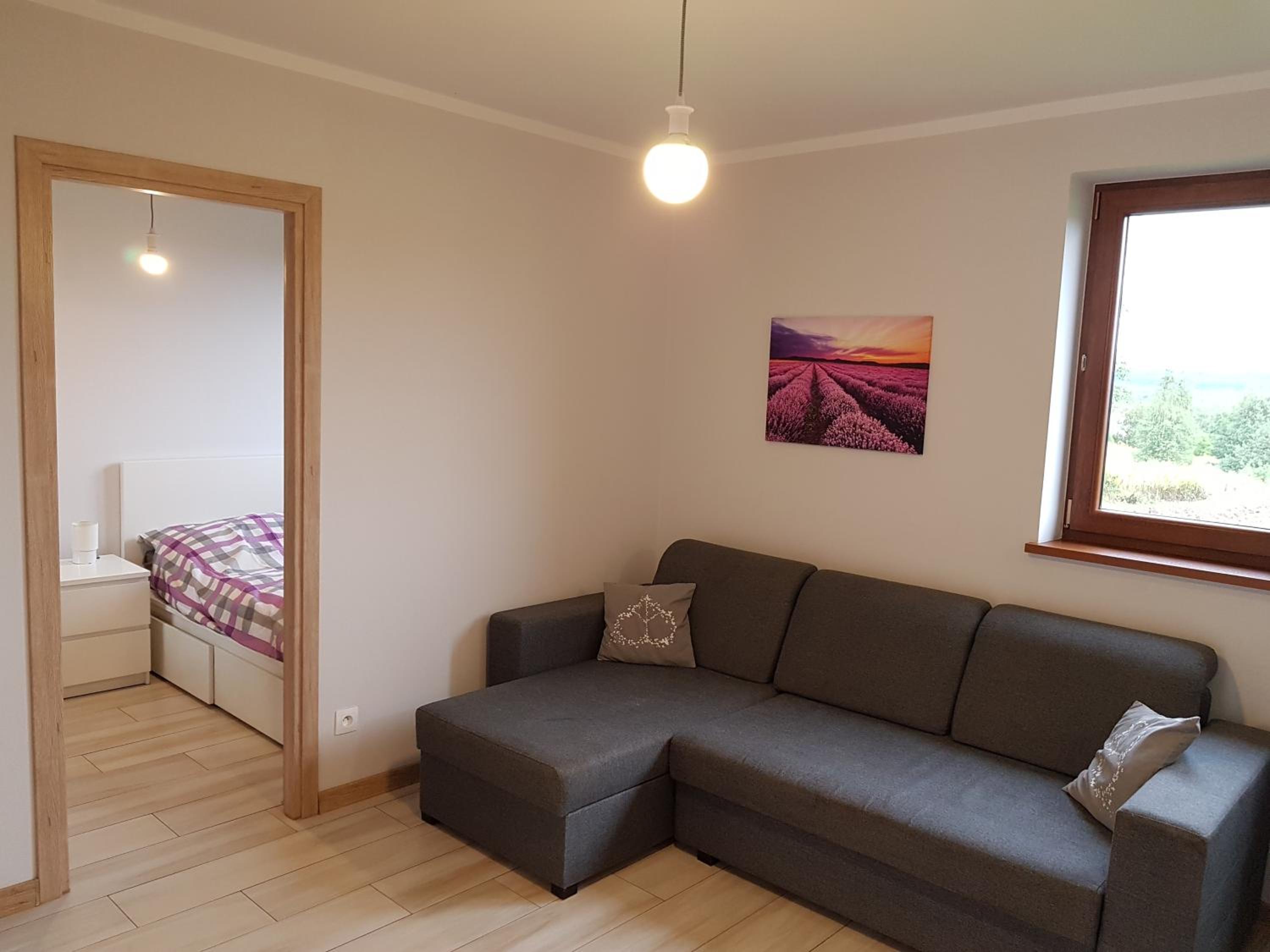 One-Bedroom Apartment photo 2