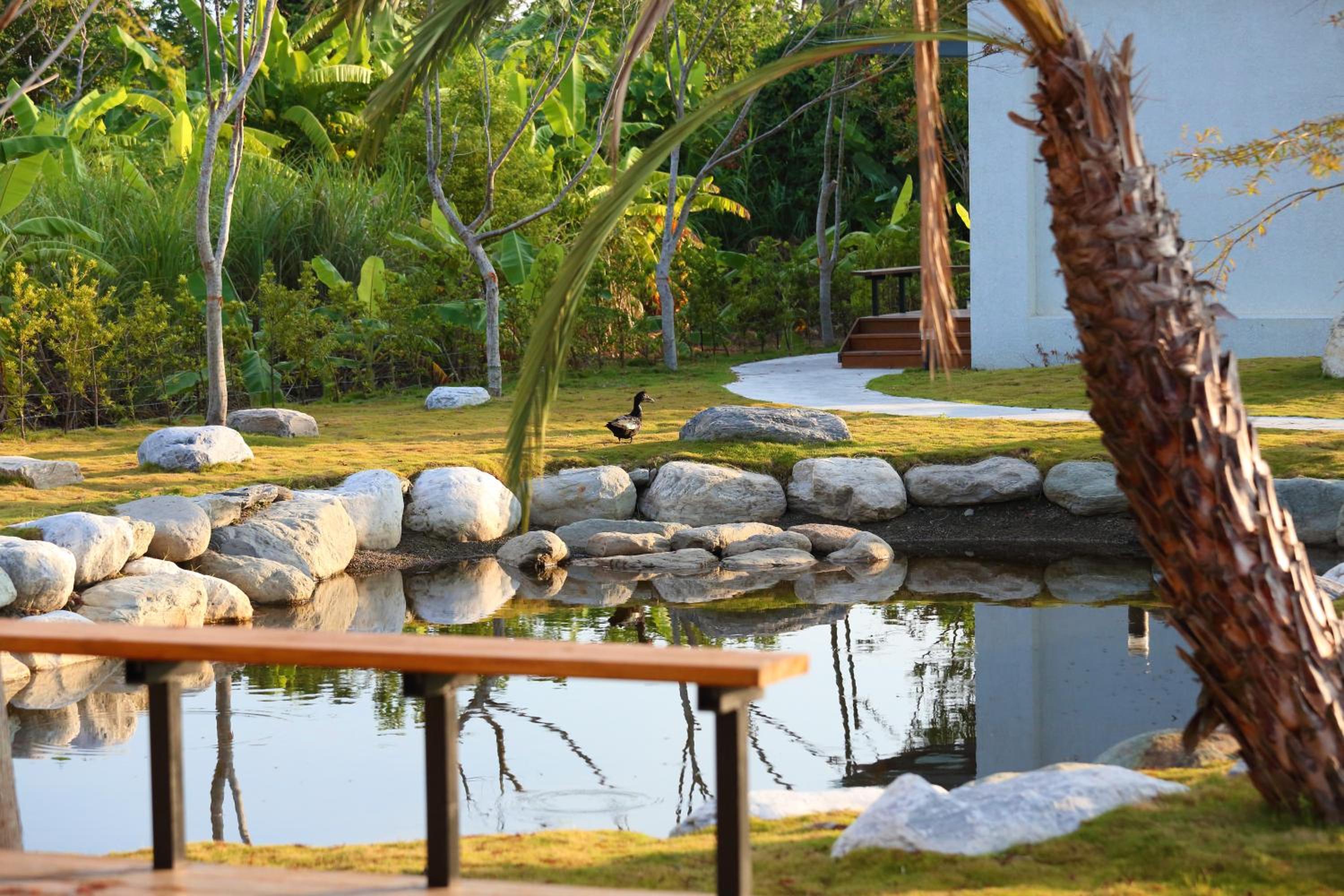 Villa photo 2