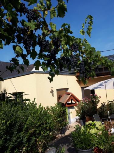 Double Room with Garden View photo 1
