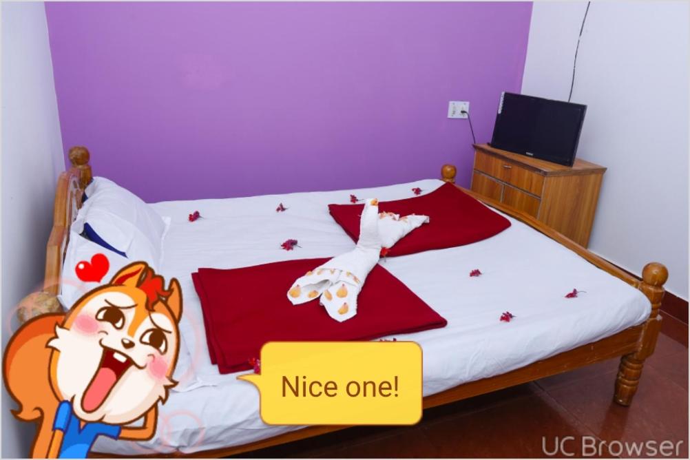 Standard Double Room photo 3