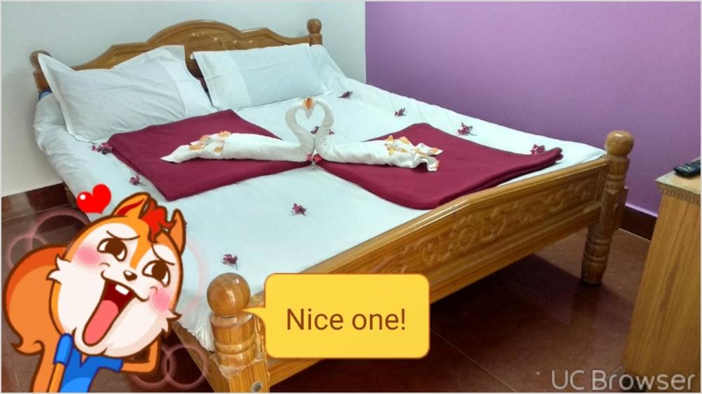 Standard Double Room photo 2