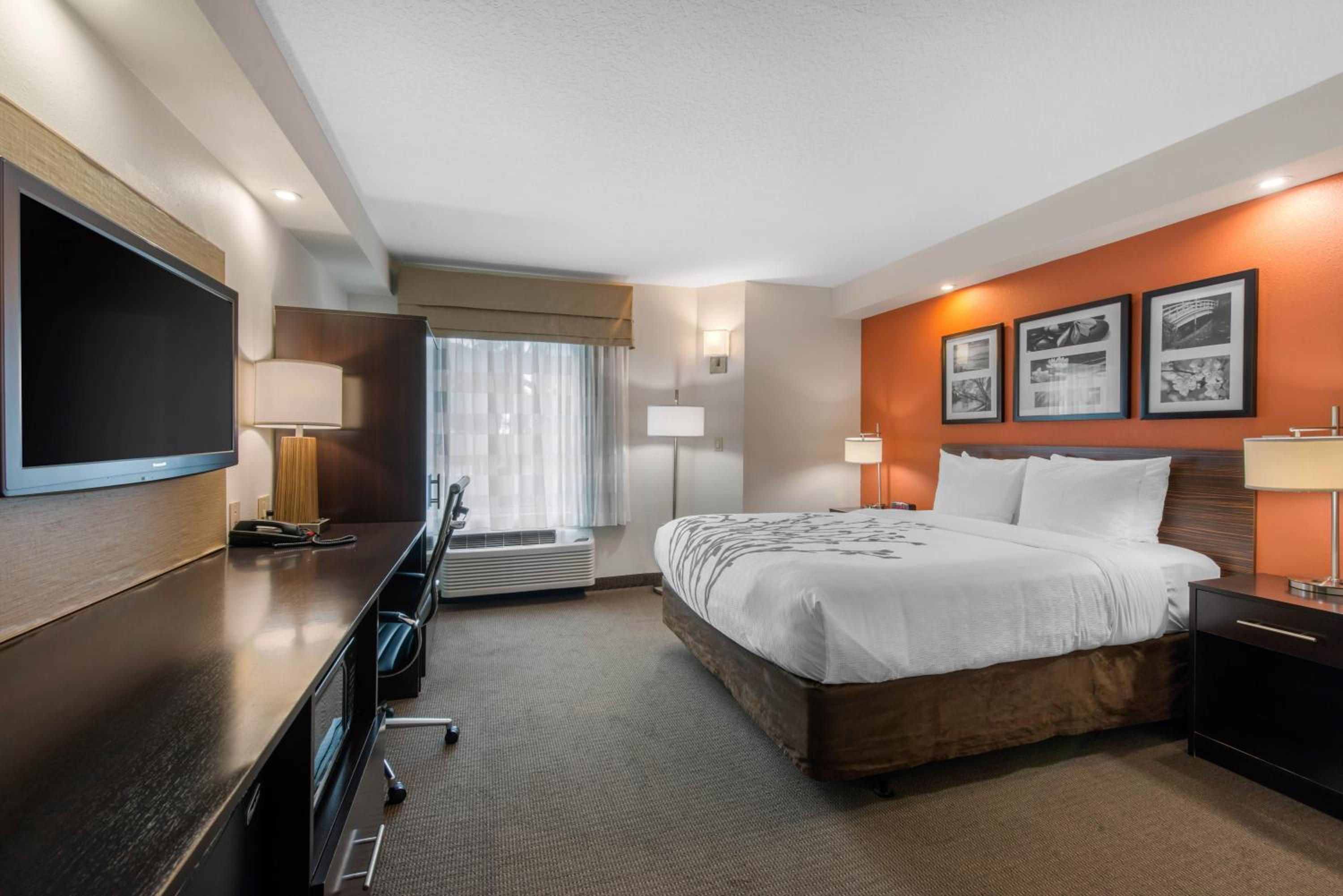 King Suite - Non-Smoking - Photo 1