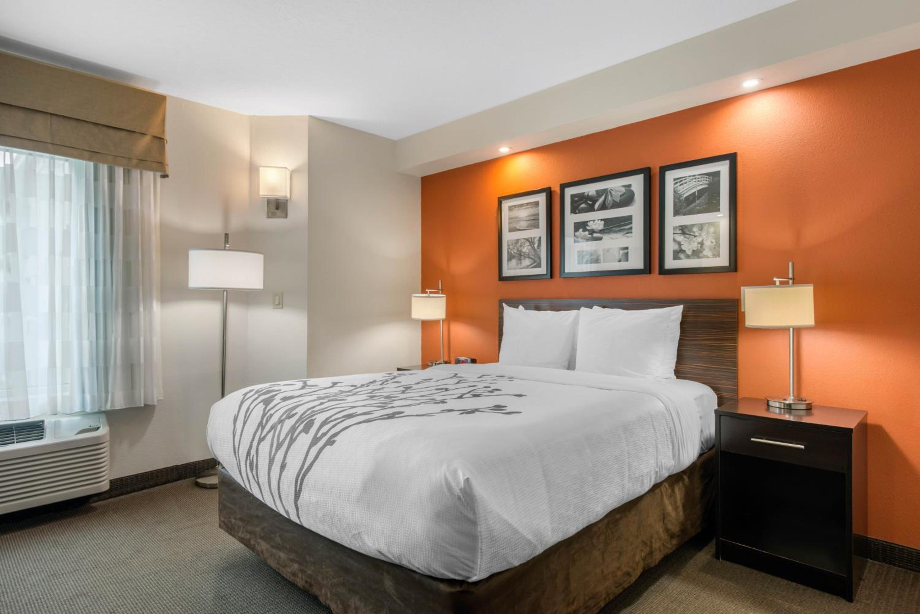King Room - Non-Smoking - Photo 1