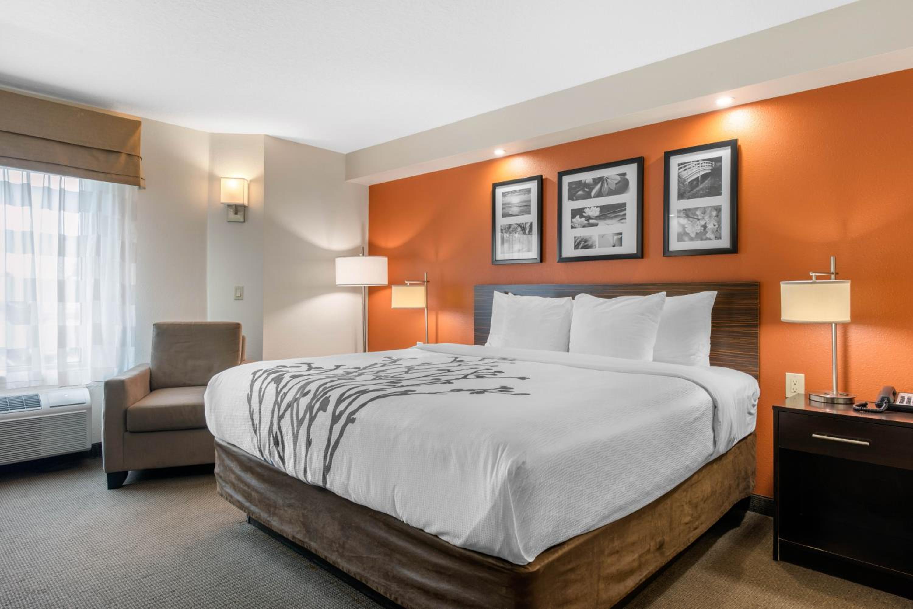 King Room - Non-Smoking - Photo 3