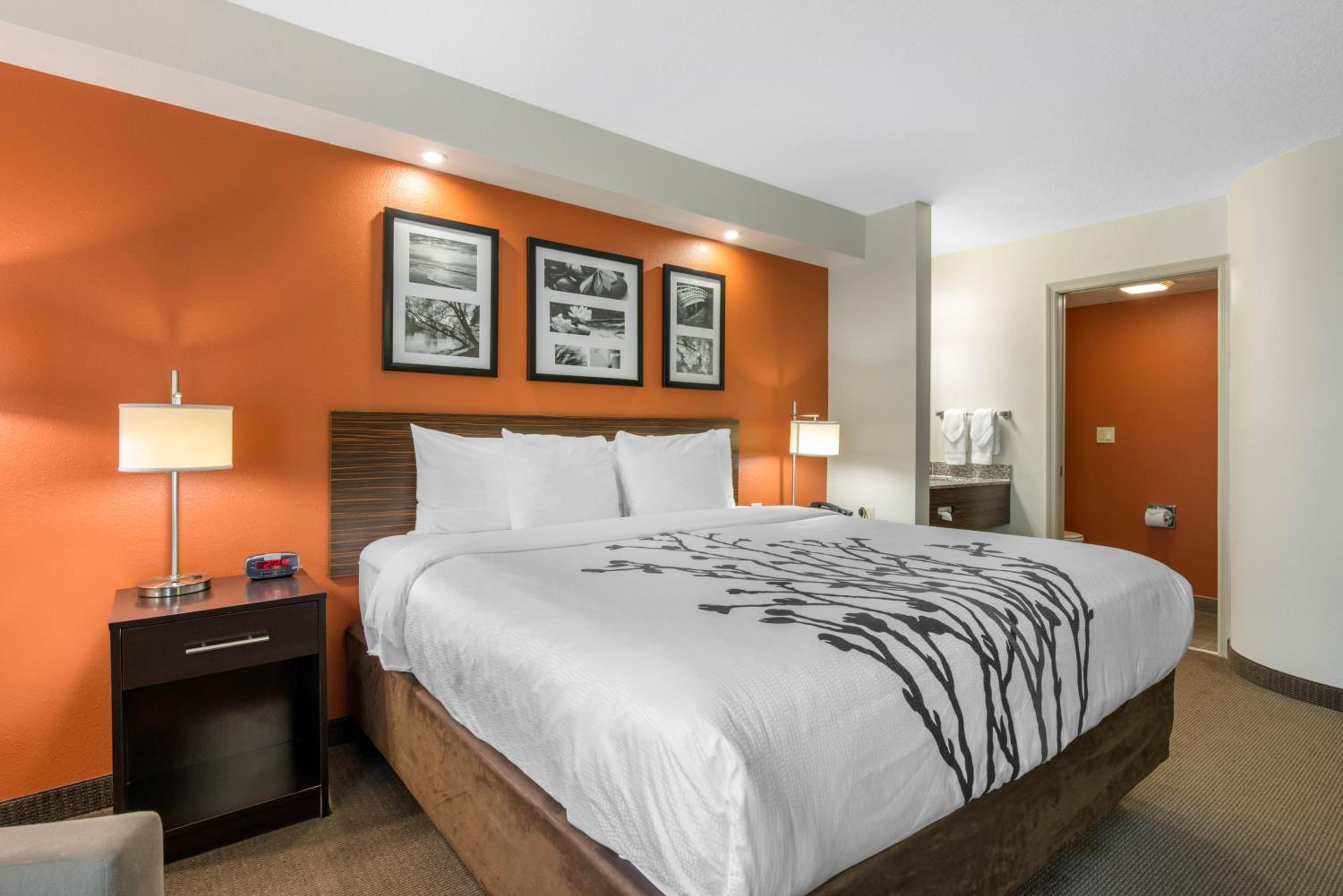 King Room - Non-Smoking - Photo 2