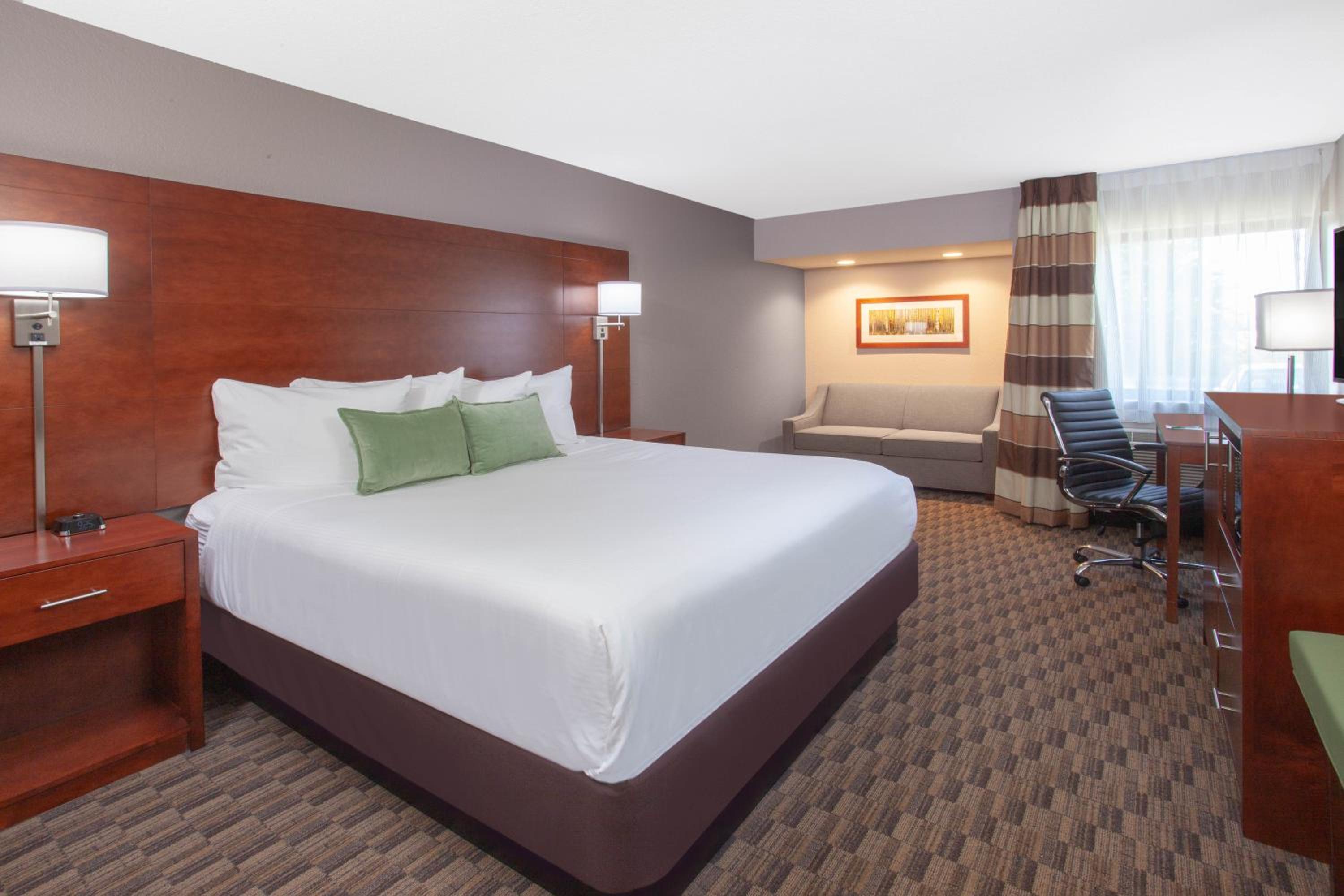 King Room - Non-Smoking - Photo 4