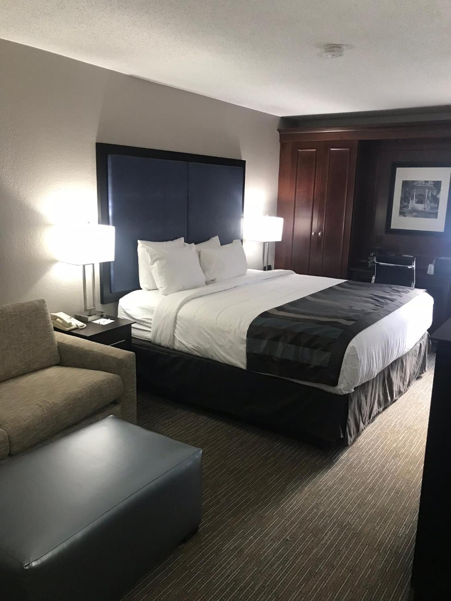 Deluxe King Room - Non-Smoking photo 3