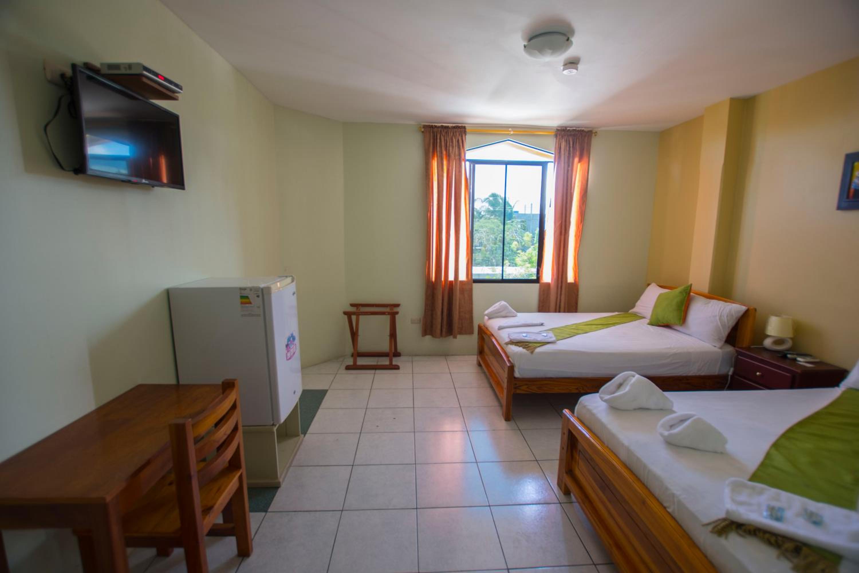 Twin Room photo 3