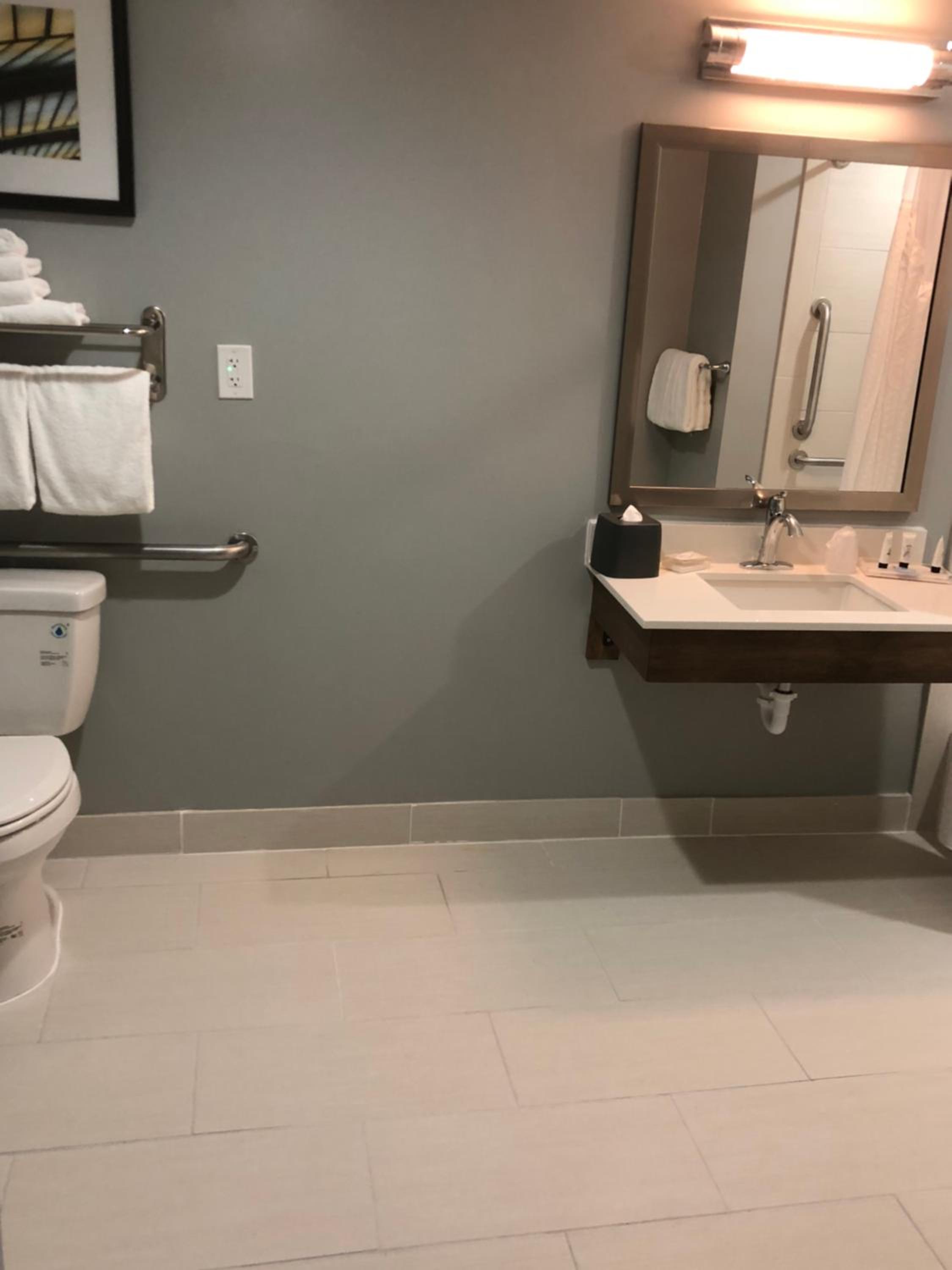 Standard King Room with Mobility Accessible Tub - Photo 11