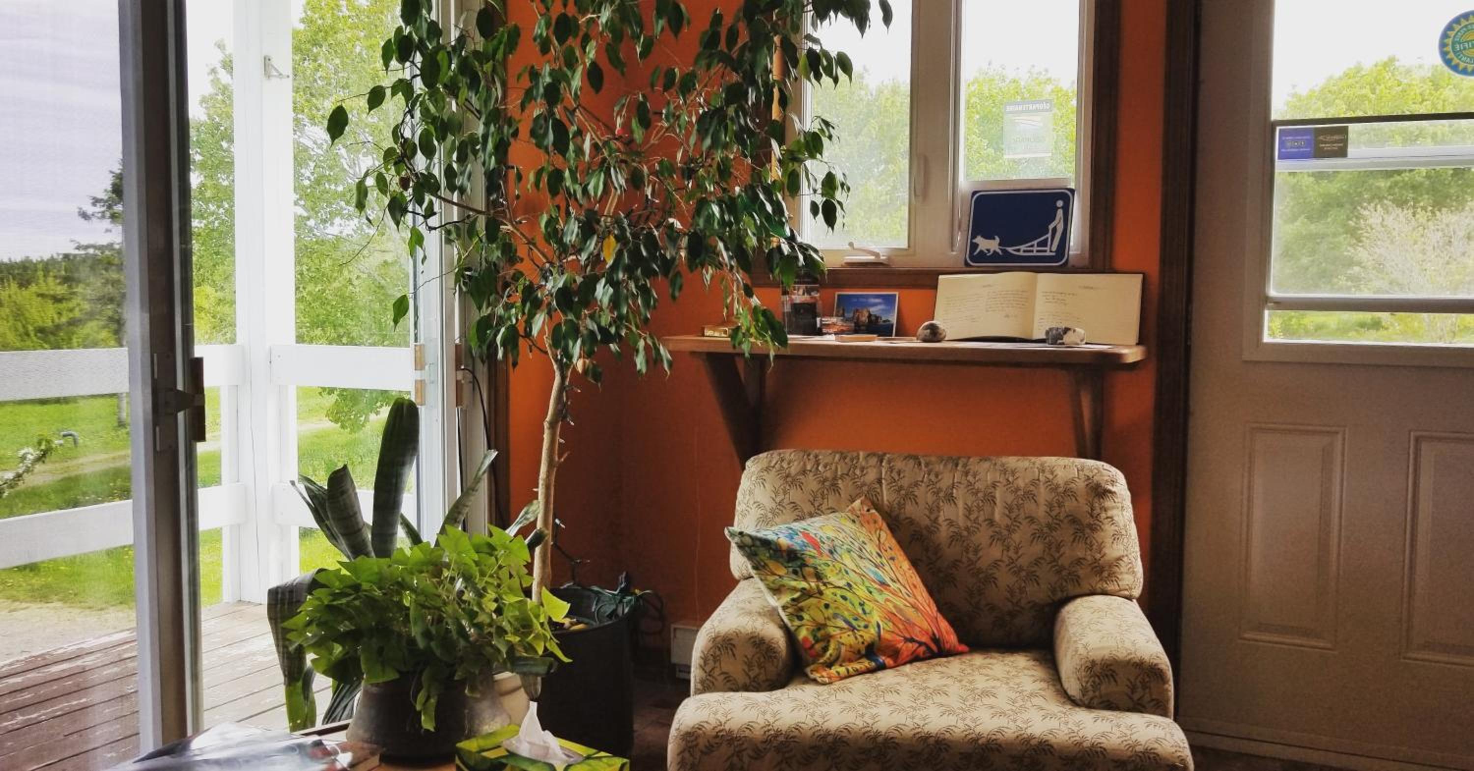 Queen Room photo 2