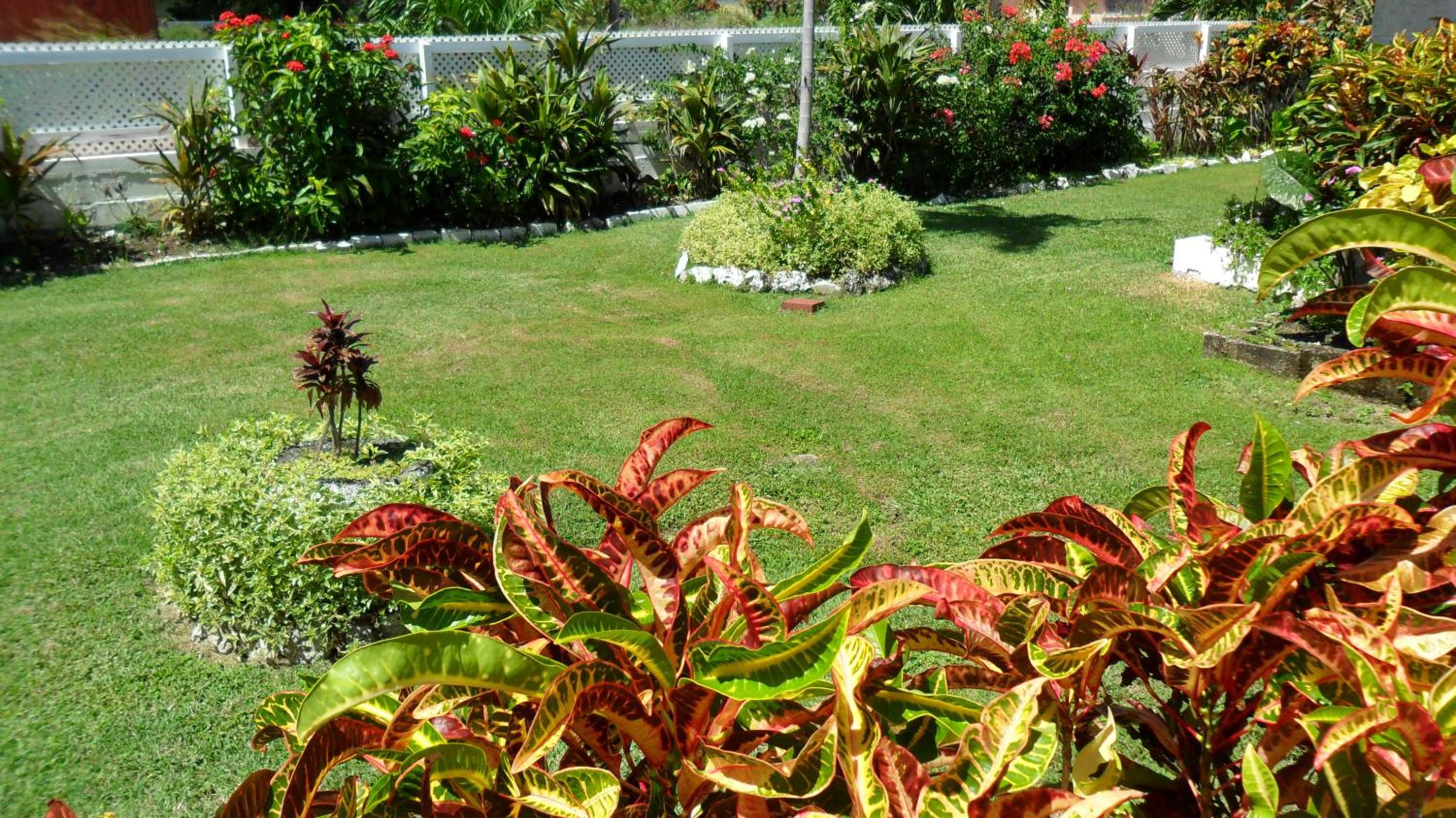 Studio with Garden View photo 2