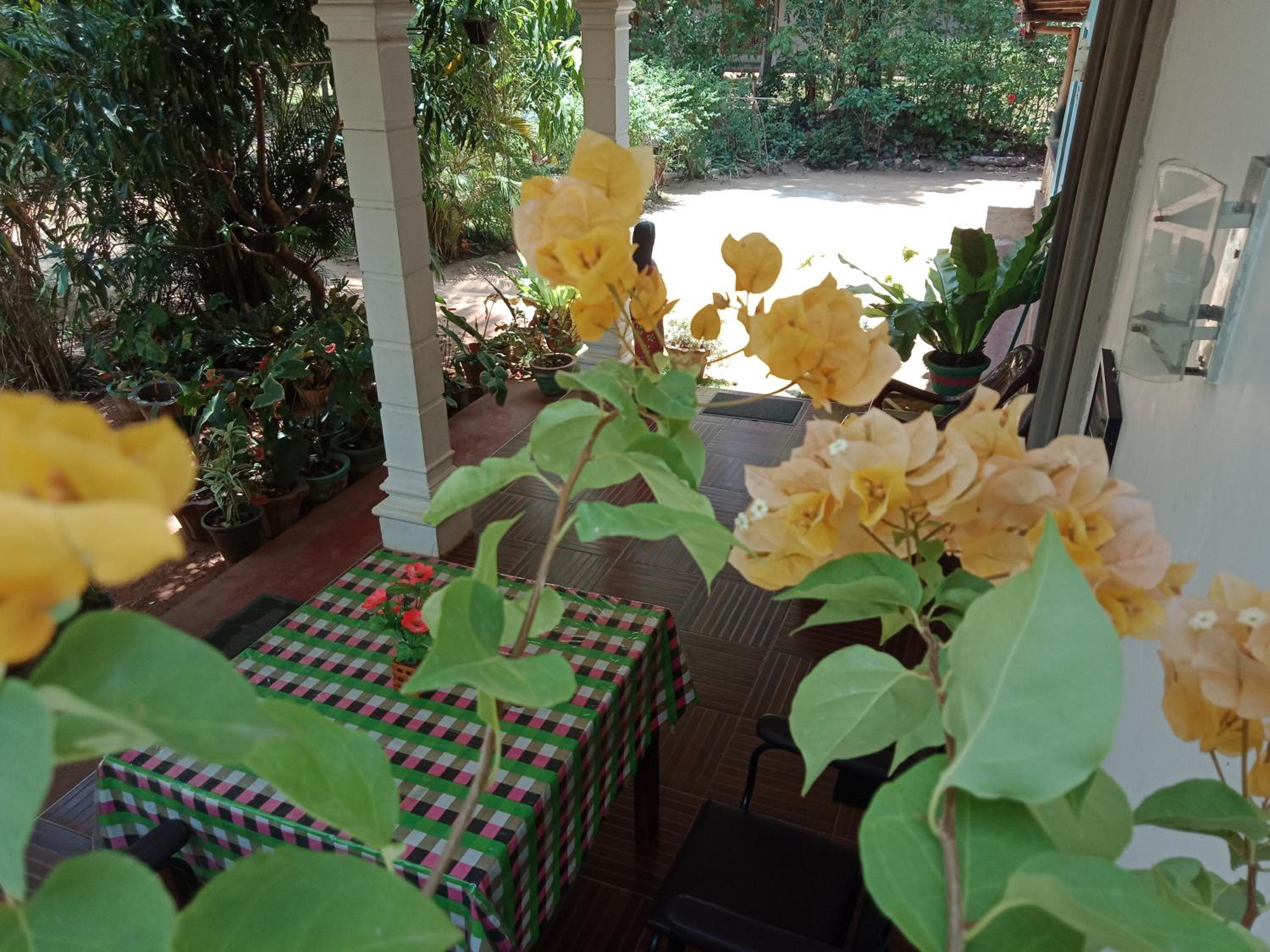 Family Room with Balcony photo 3